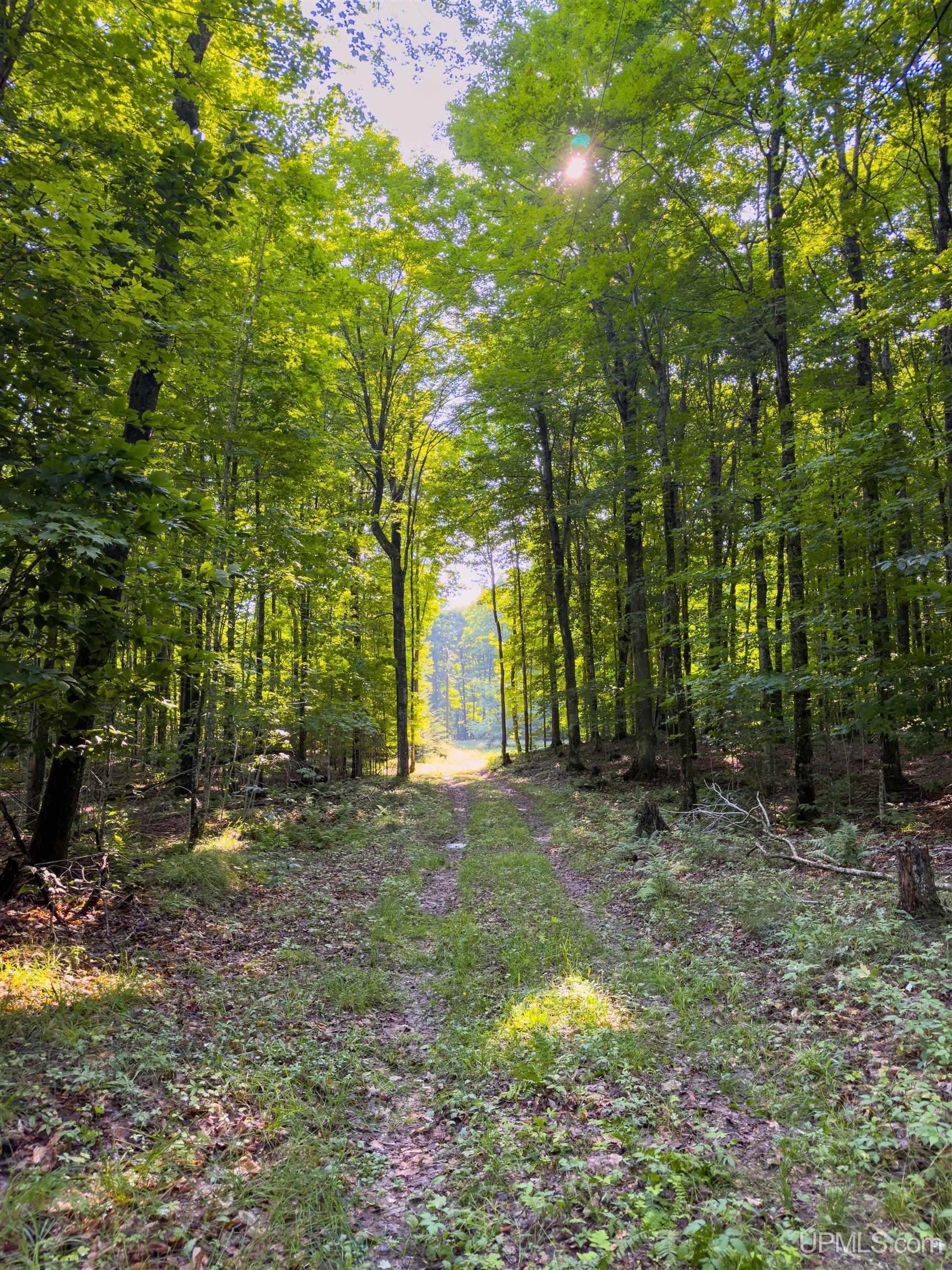 18th image of 2504 S Little Harbor Rd, Manistique, MI 49854 | MLS# 50214943