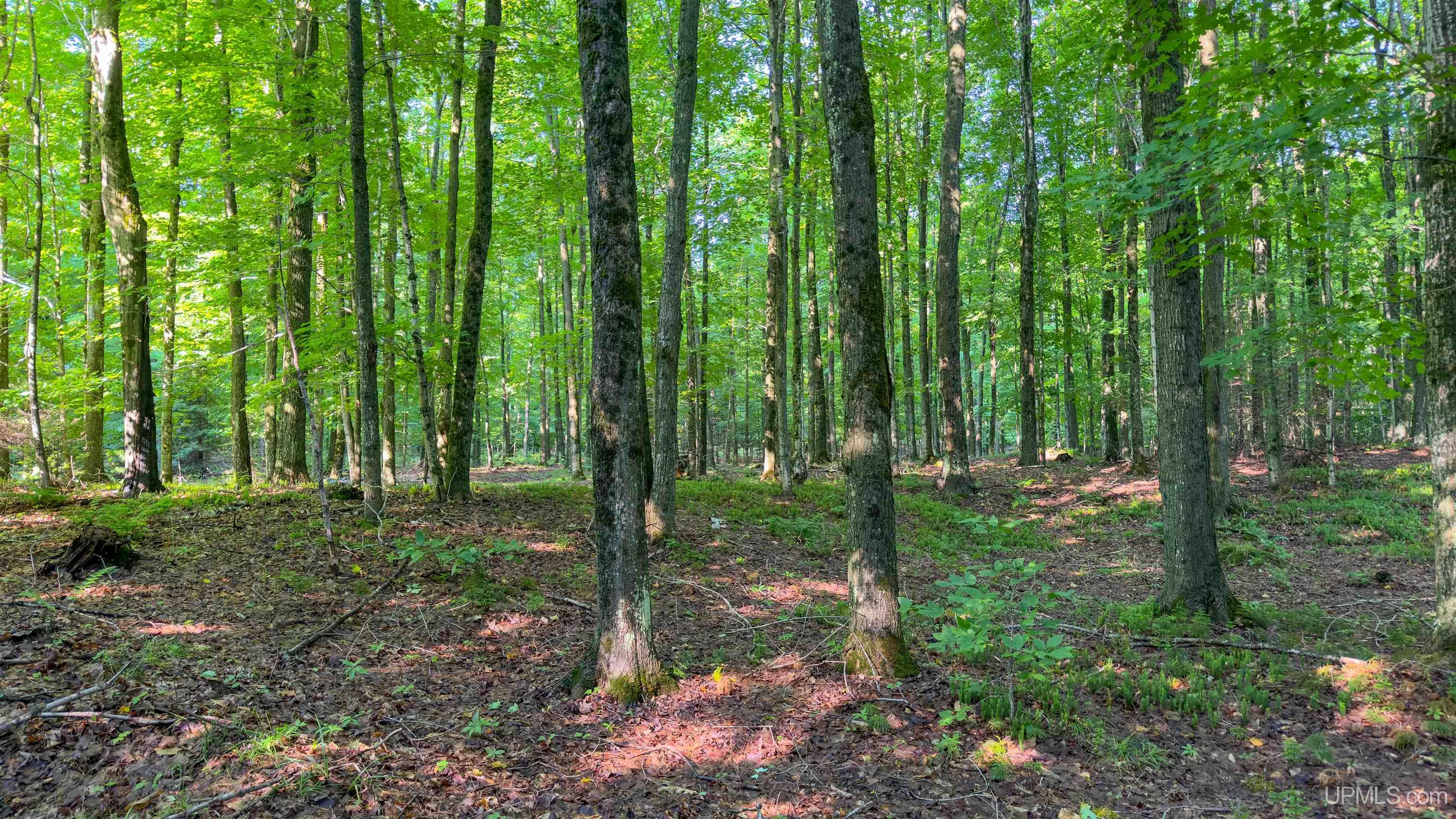 3rd image of 2504 S Little Harbor Rd, Manistique, MI 49854 | MLS# 50214943
