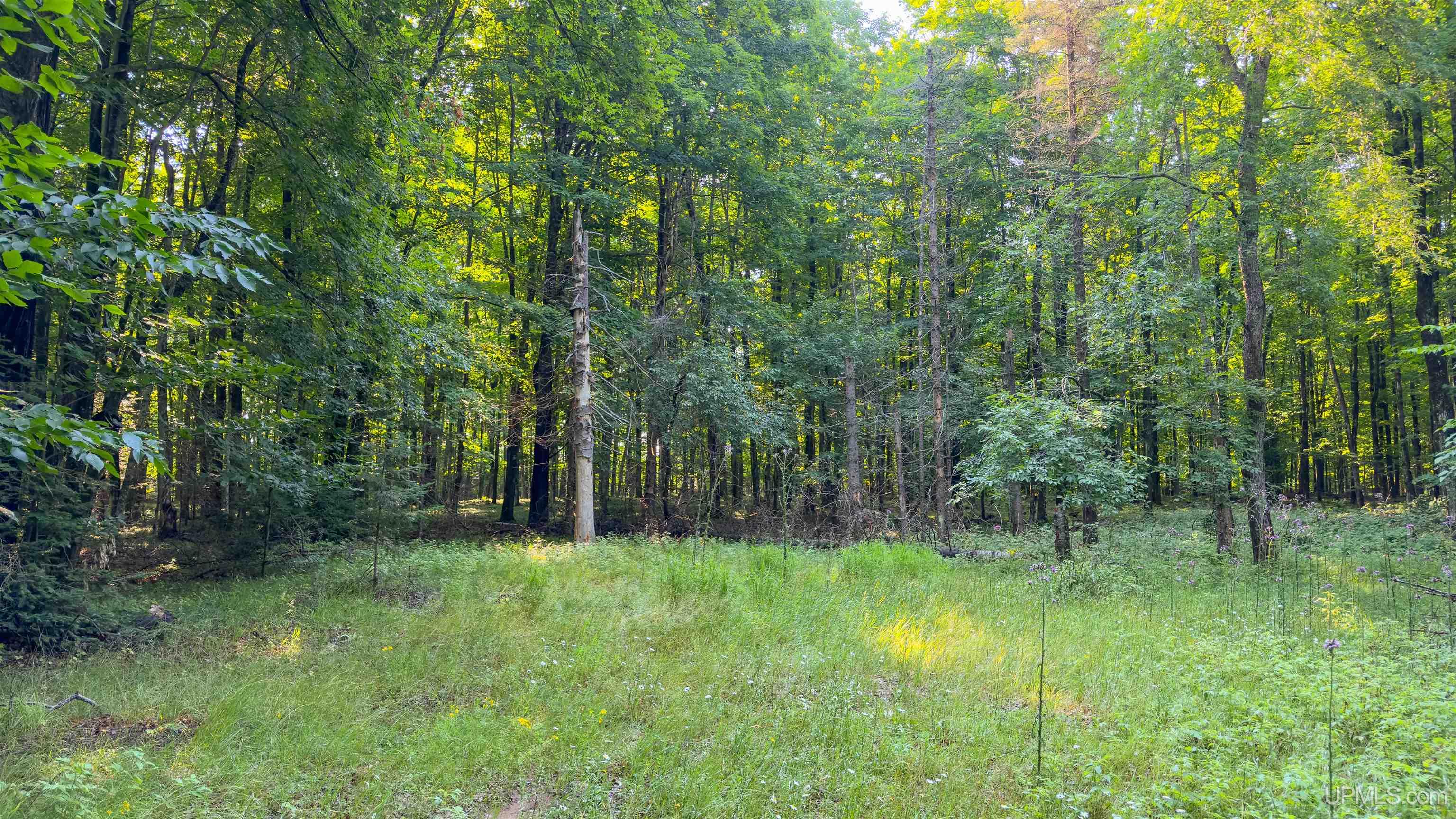 4th image of 2504 S Little Harbor Rd, Manistique, MI 49854 | MLS# 50214943