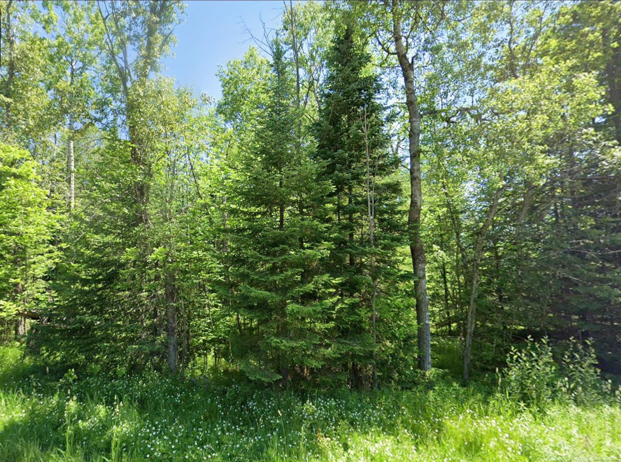 1st image of 0 Sawyer Ln, Rose City, MI 48654 | MLS# 50214971