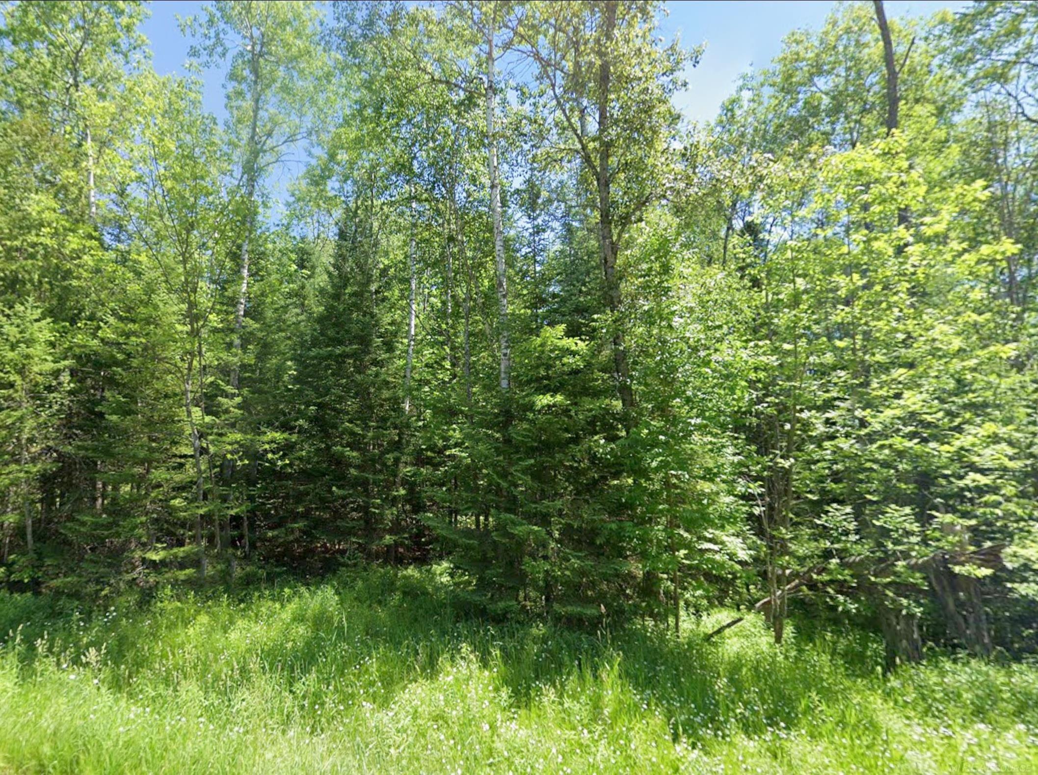 2nd image of 0 Sawyer Ln, Rose City, MI 48654 | MLS# 50214971