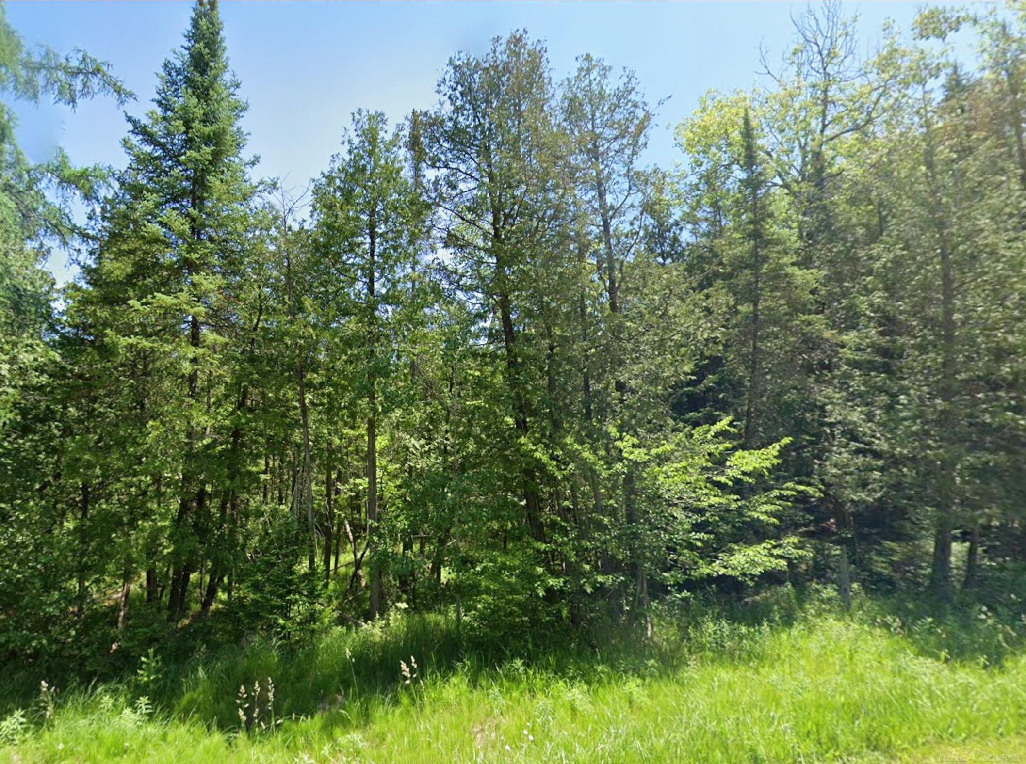 3rd image of 0 Sawyer Ln, Rose City, MI 48654 | MLS# 58050214971