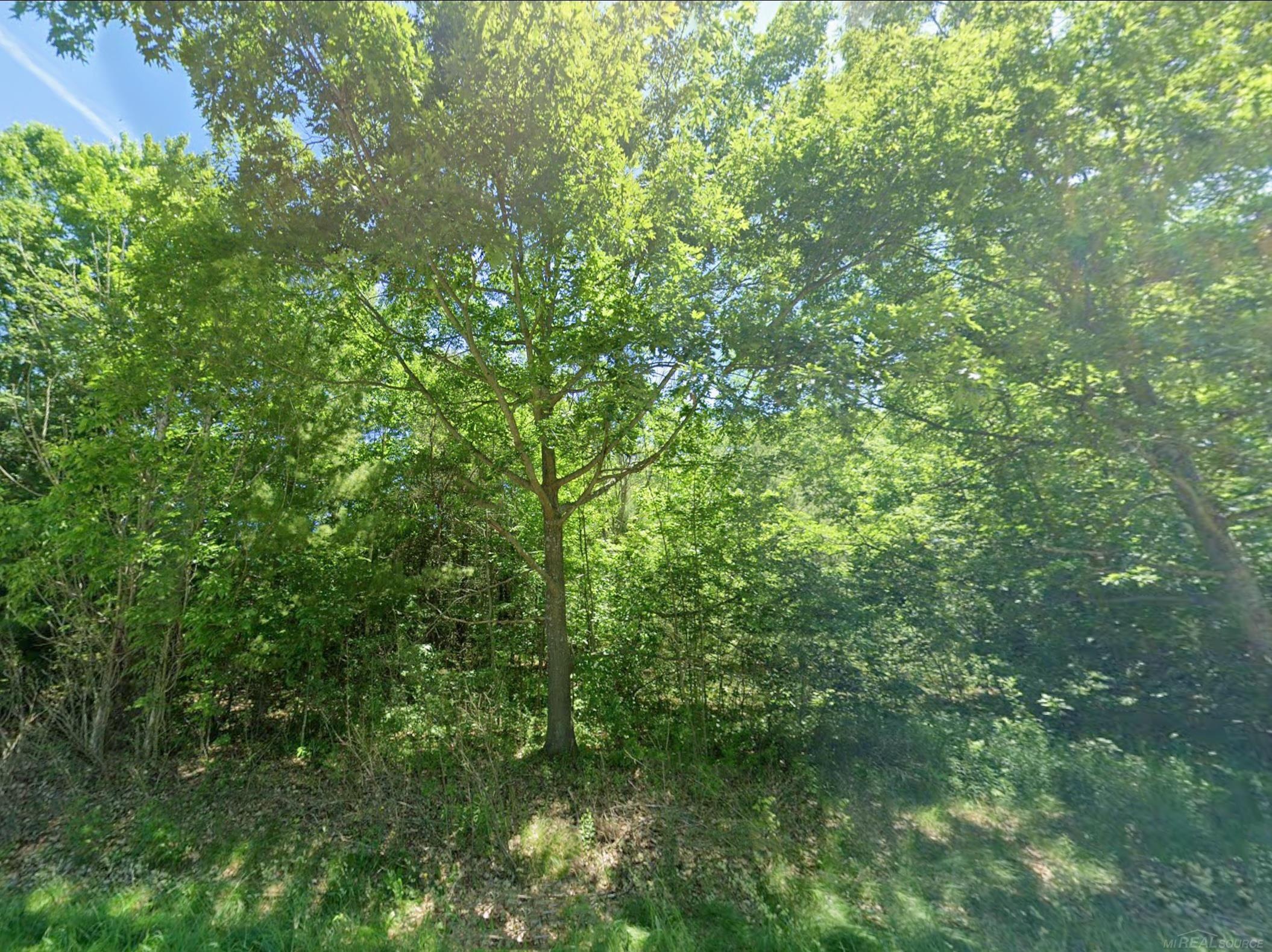 4th image of 0 Sawyer Ln, Rose City, MI 48654 | MLS# 58050214971