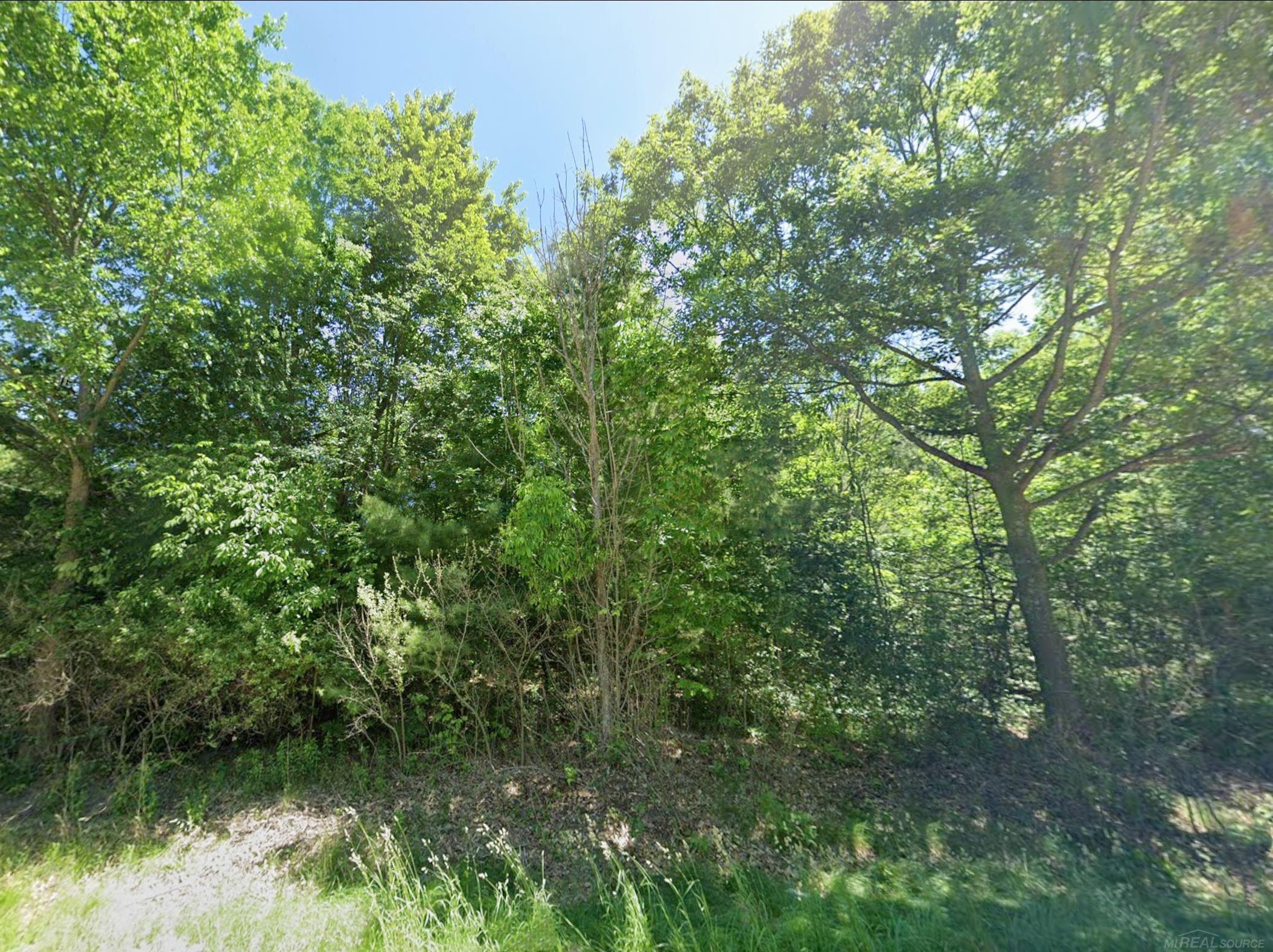 5th image of 0 Sawyer Ln, Rose City, MI 48654 | MLS# 58050214971