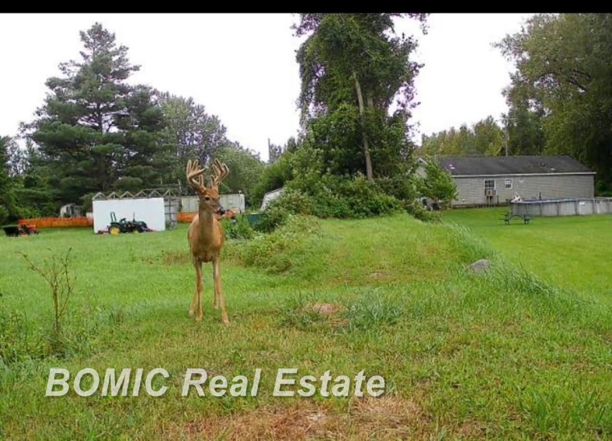Homes for sale in Caro, MI | 3865 Mushroom Rd, Caro, MI 48723 | MLS# 50214975