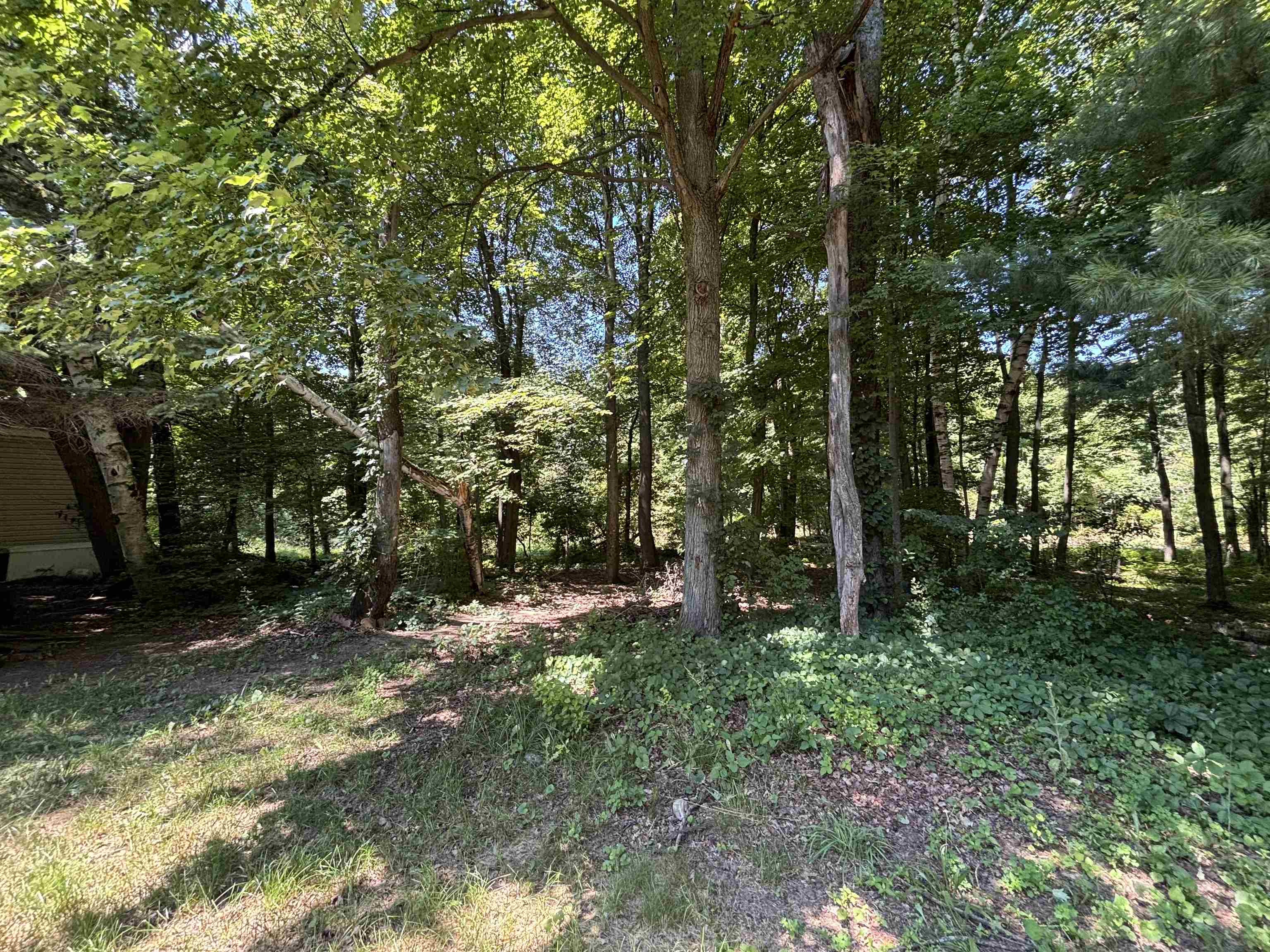 Homes for sale in Croswell City Sanilac, MI | 2237 Ranae St, Croswell City Sanilac, MI 48422 | MLS# 58050215515
