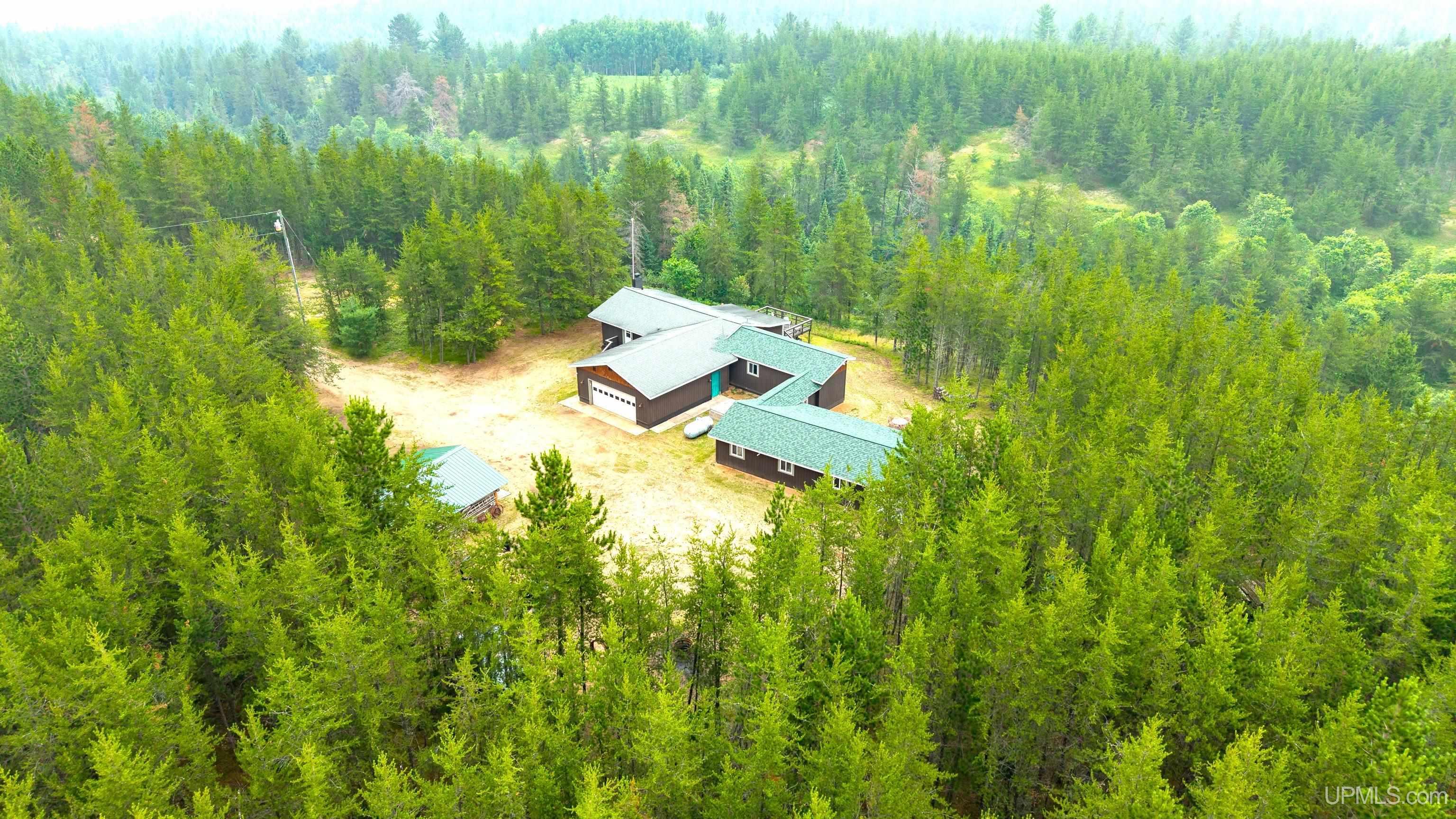 50215561