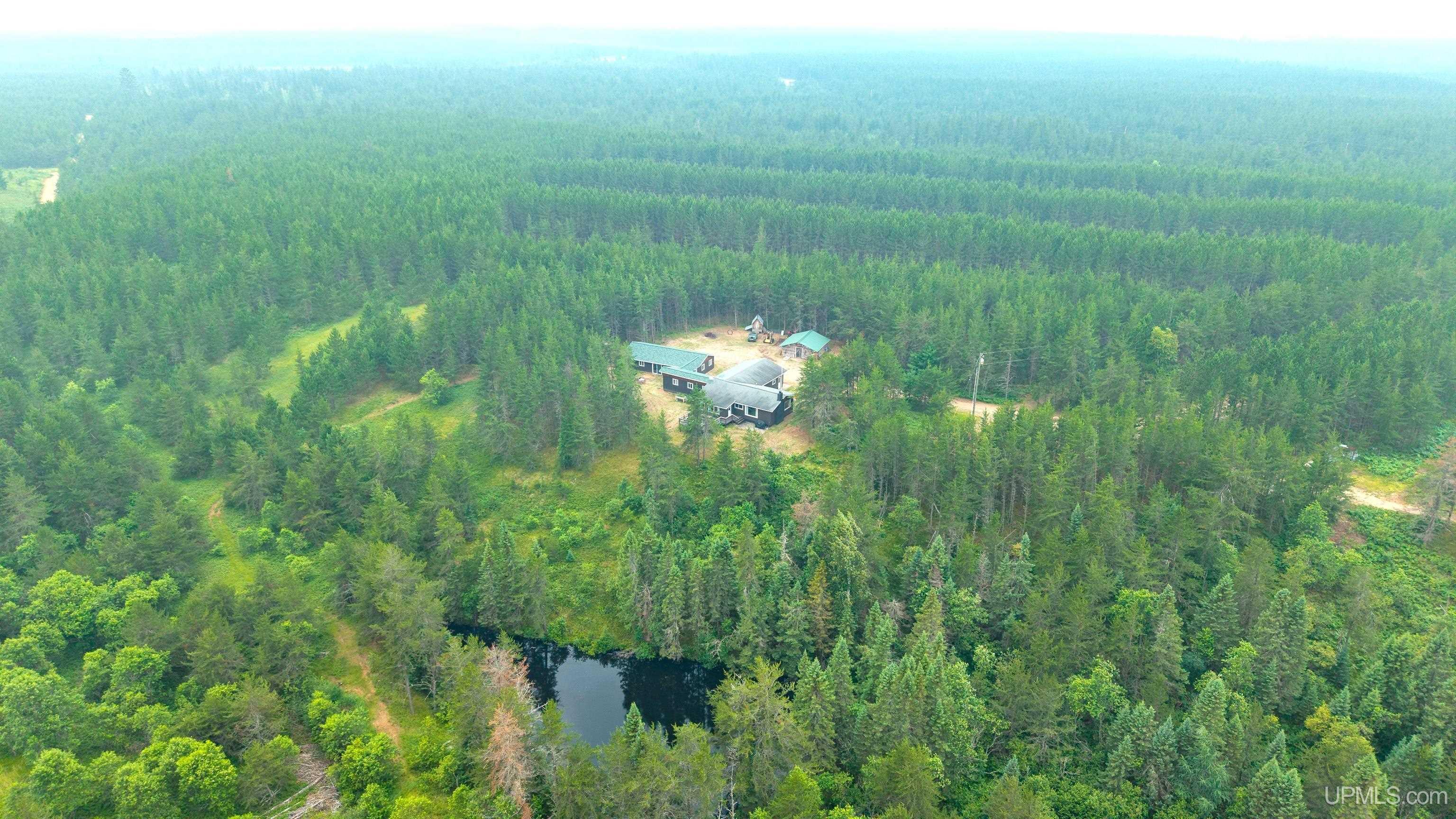 50215561