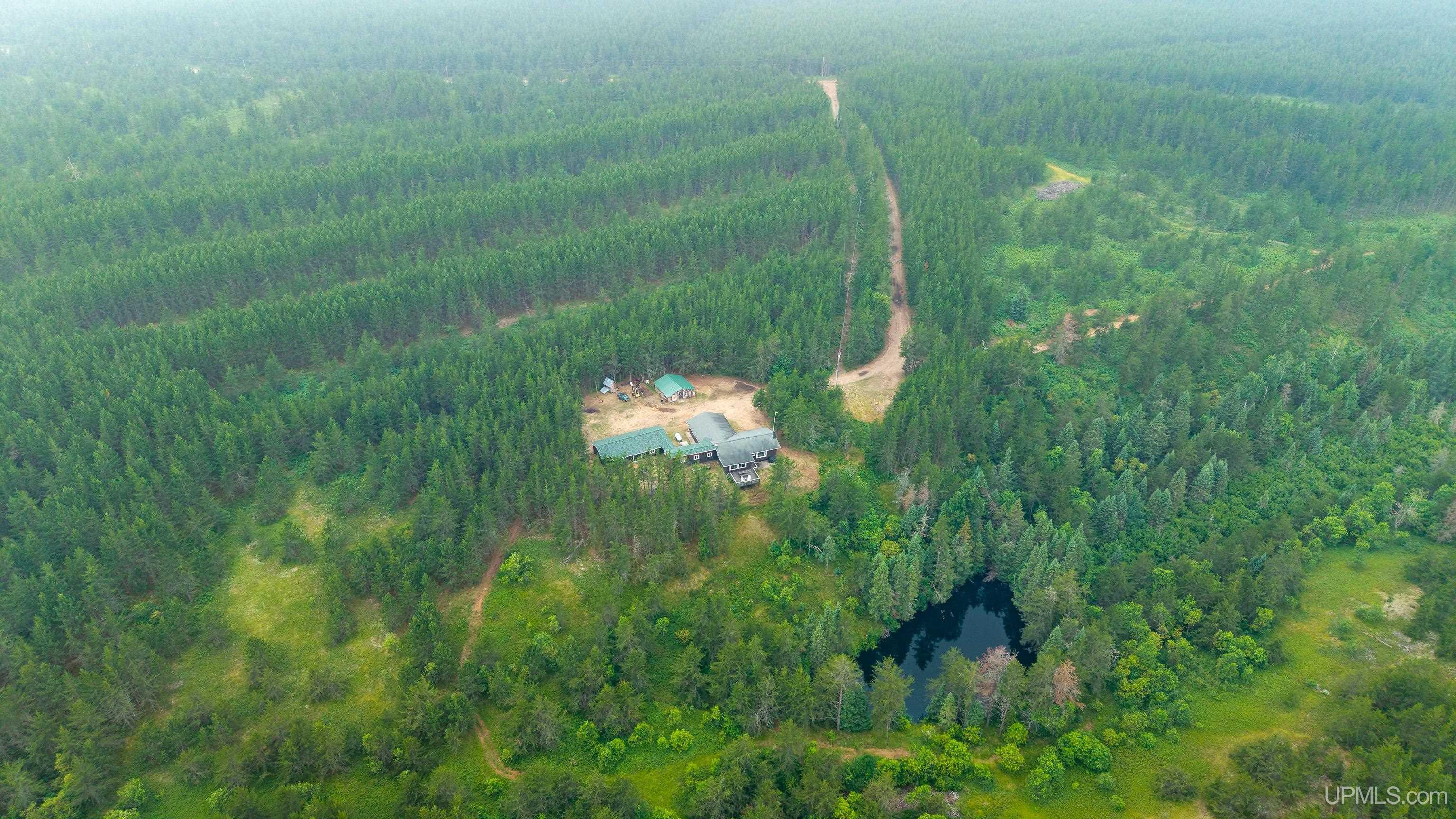 50215561