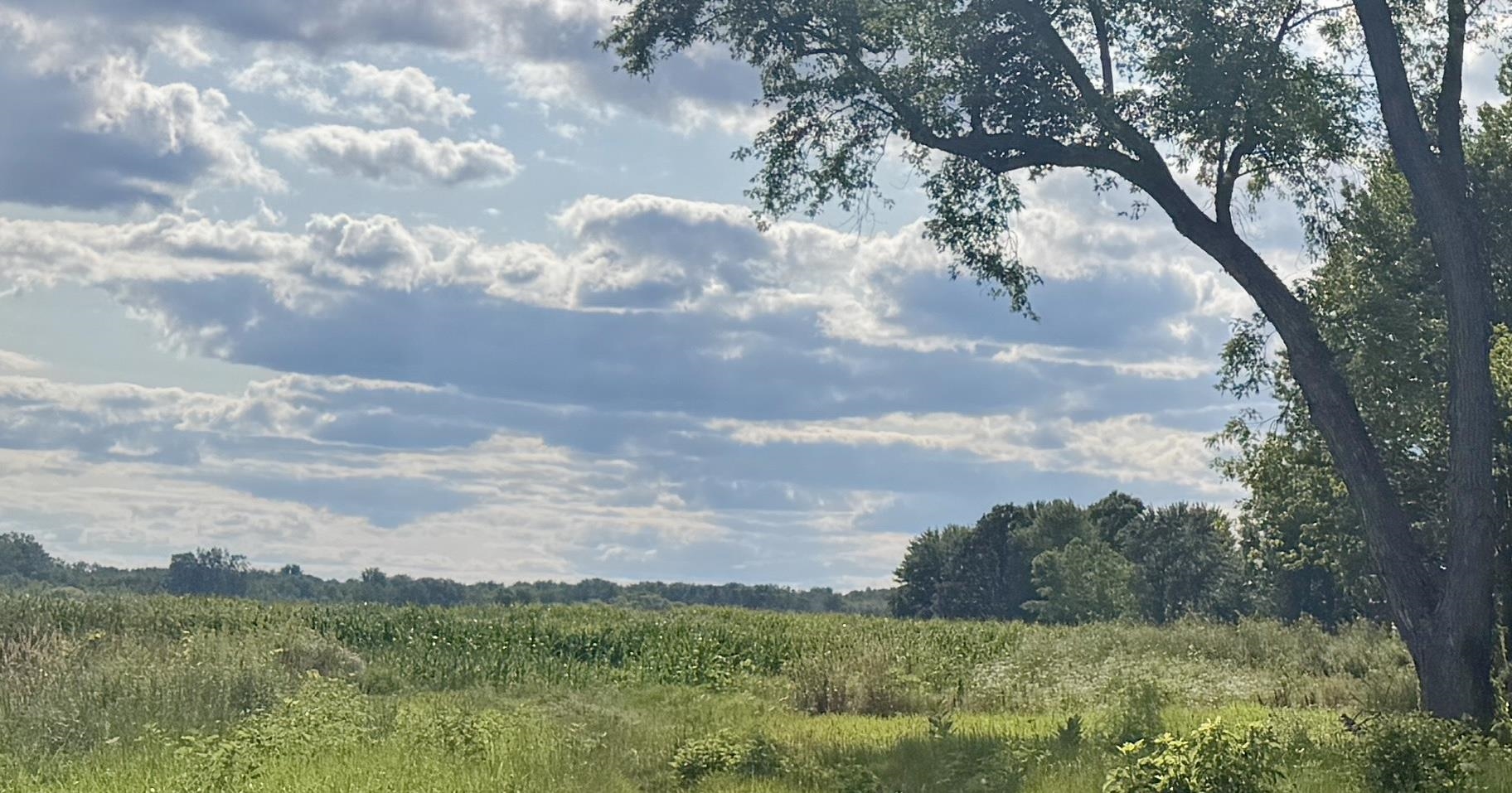 2nd image of 0 Peterson Rd, Beaverton, MI 48612 | MLS# 50215894