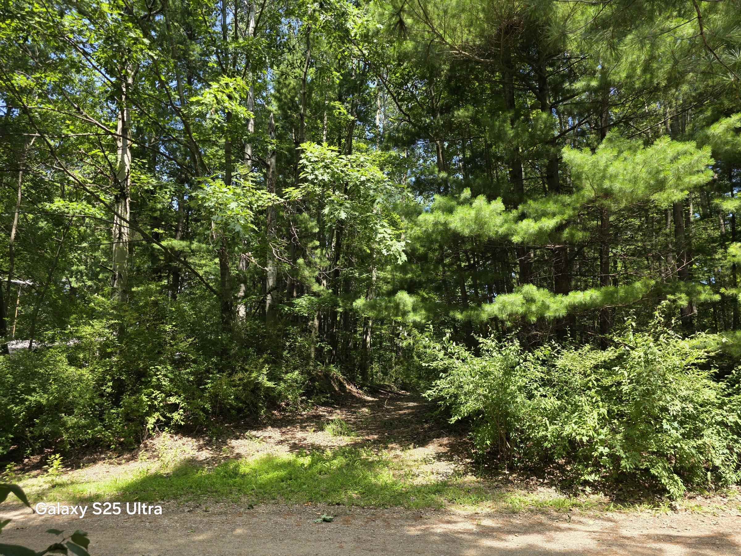 22nd image of 4961 Lakeview Dr, Gladwin, MI 48624 | MLS# 50215982