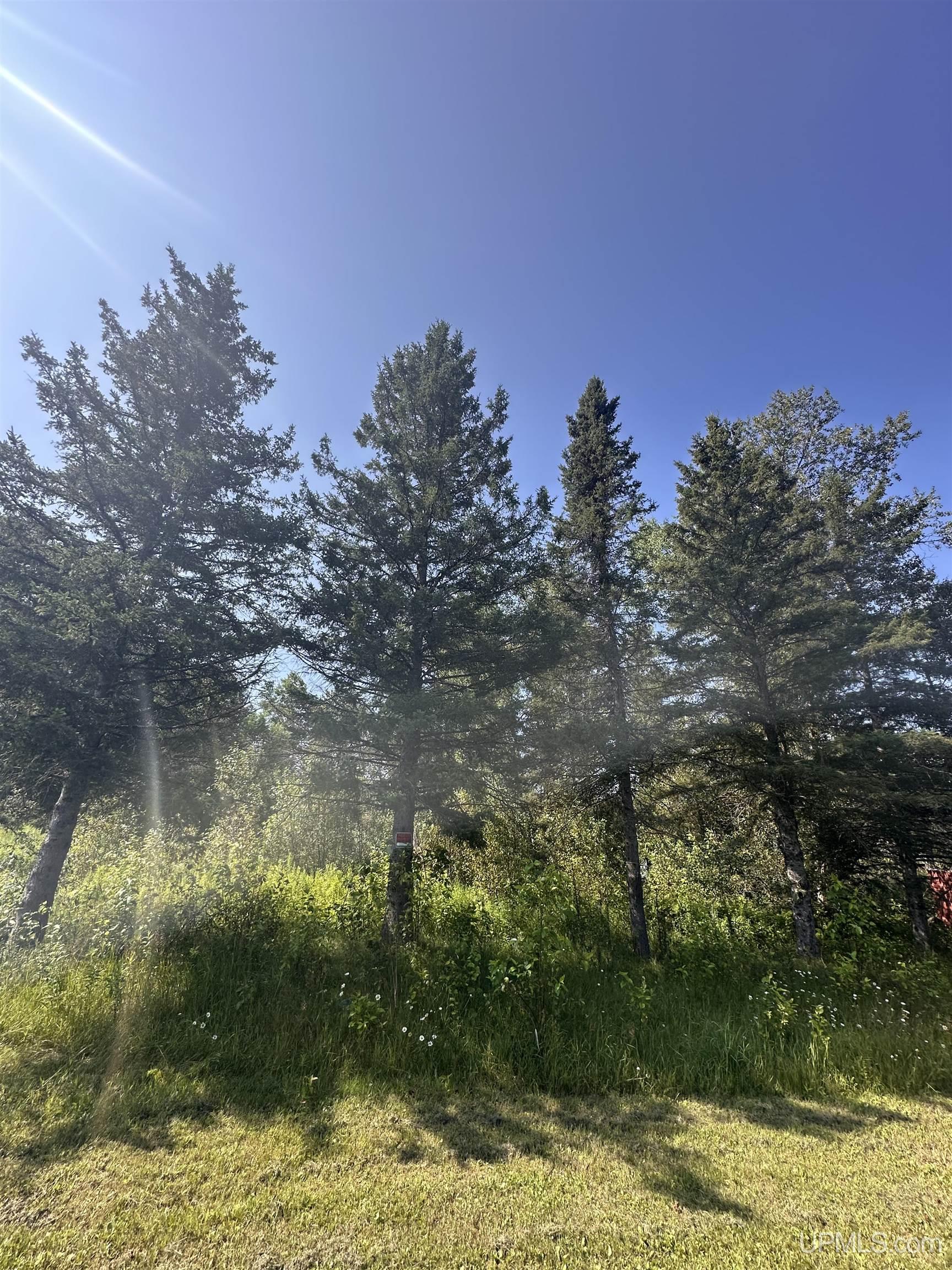 3rd image of W6425 Leeman Rd, Sagola, MI 49881 | MLS# 50216059