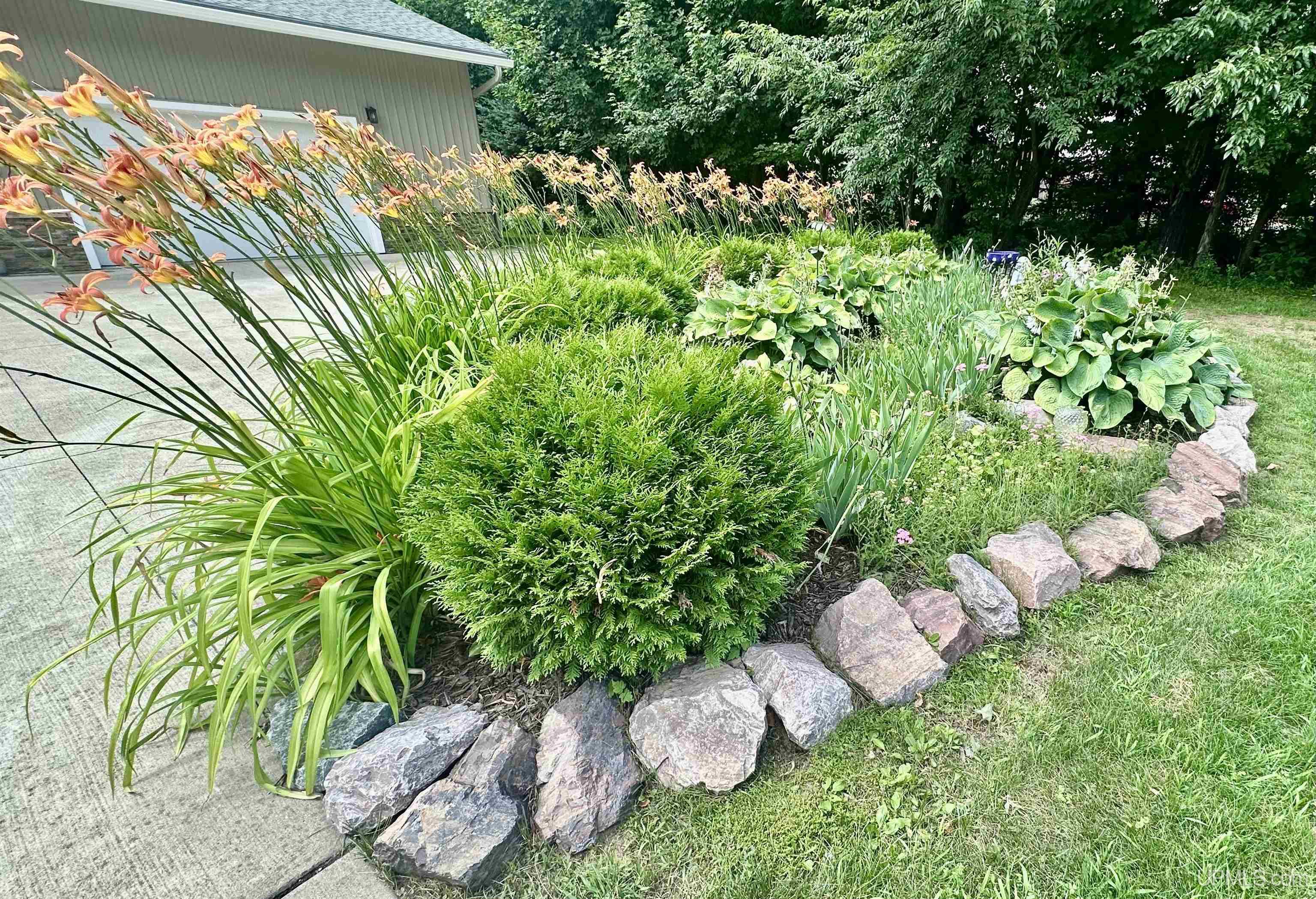 50216207