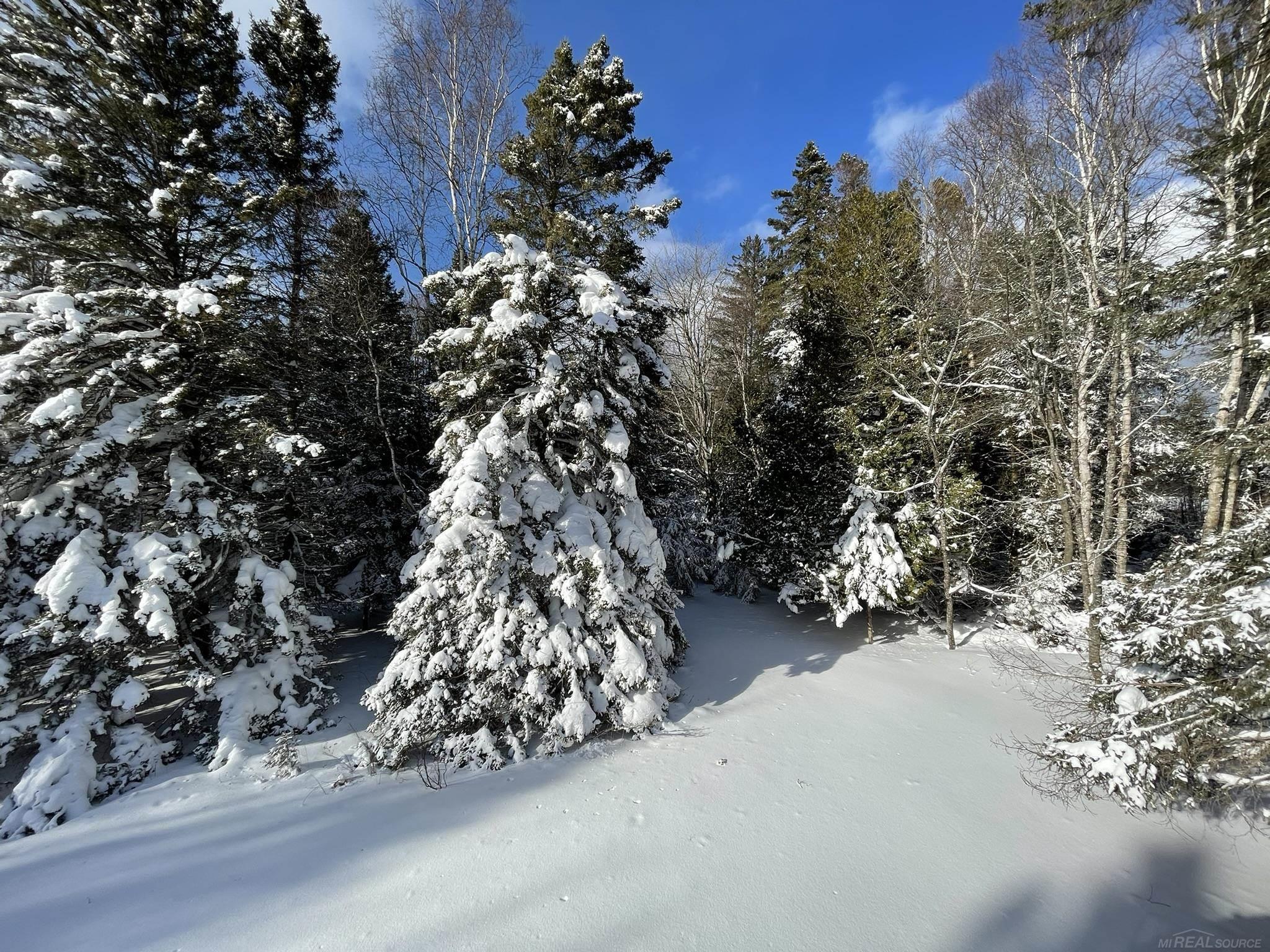4th image of 5494 W Us Hwy 2, Manistique, MI 49854 | MLS# 50216431