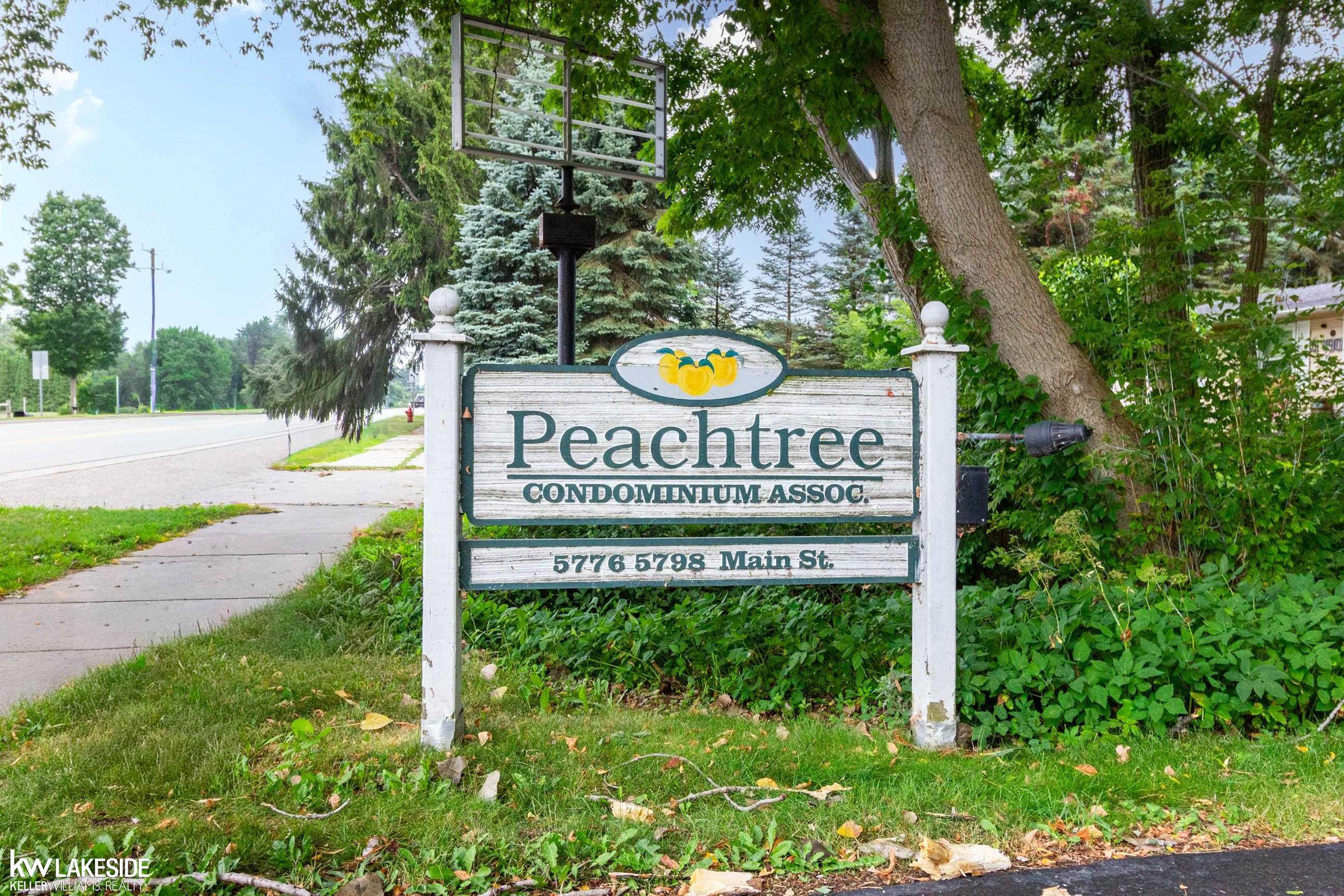 43rd image of 5778 Main St #2 St, Lexington, MI 48450 | MLS# 58050216700