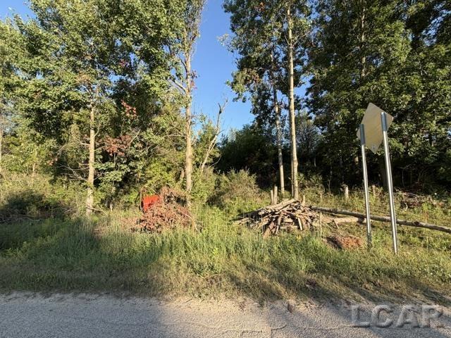 3rd image of 10459 Baker Rd, Jerome, MI 49249 | MLS# 50216720