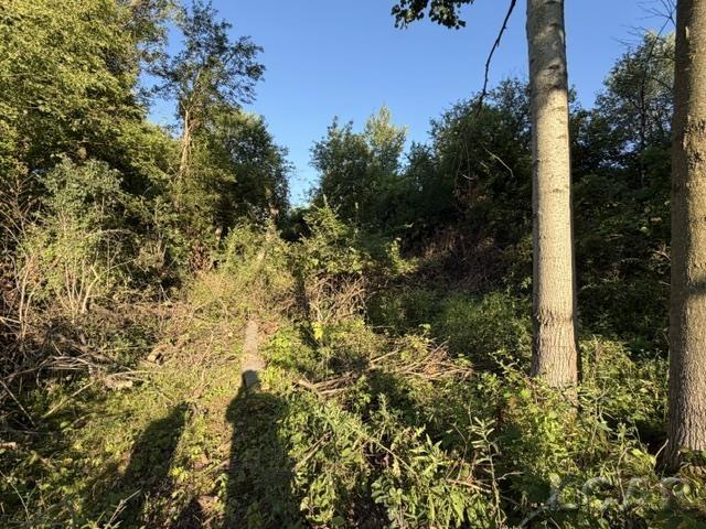 5th image of 10459 Baker Rd, Jerome, MI 49249 | MLS# 50216720