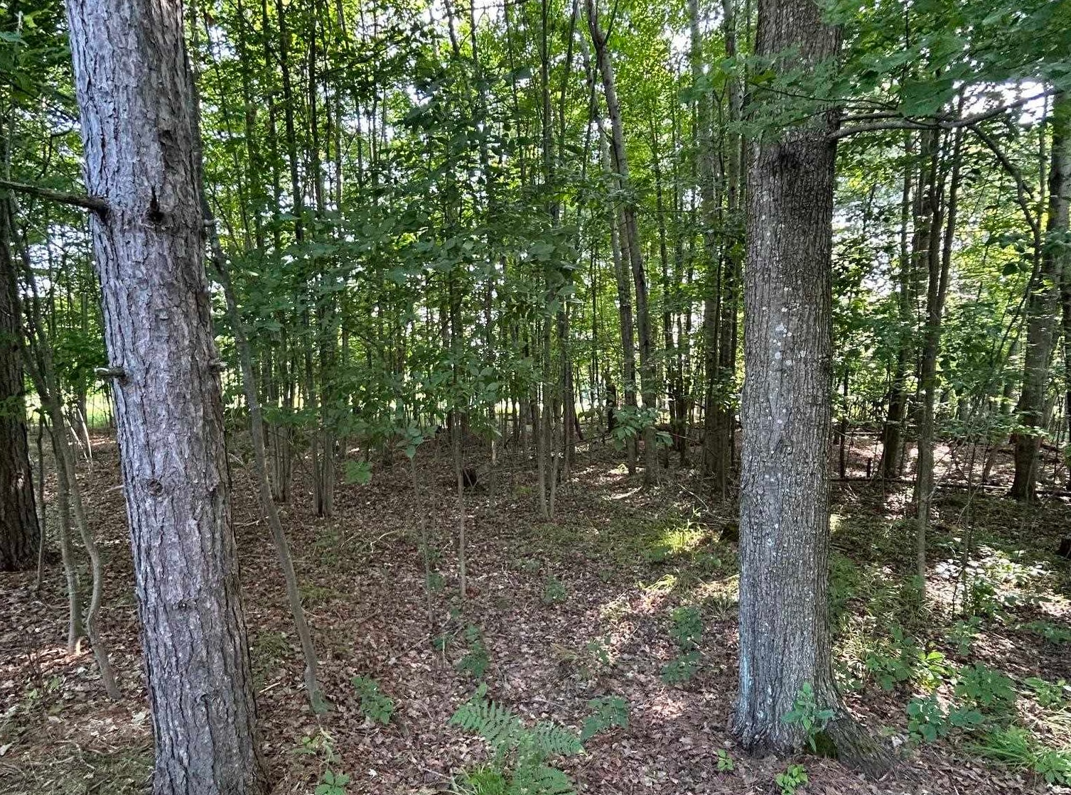 12th image of 1923 Berkshire Dr, Gladwin, MI 48624 | MLS# 50216807