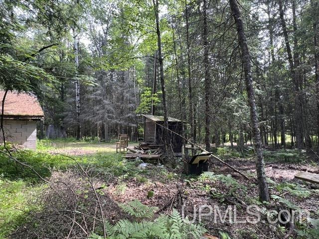 4th image of N14675 Lanfear Rd, Amberg, WI 54102 | MLS# 50216963