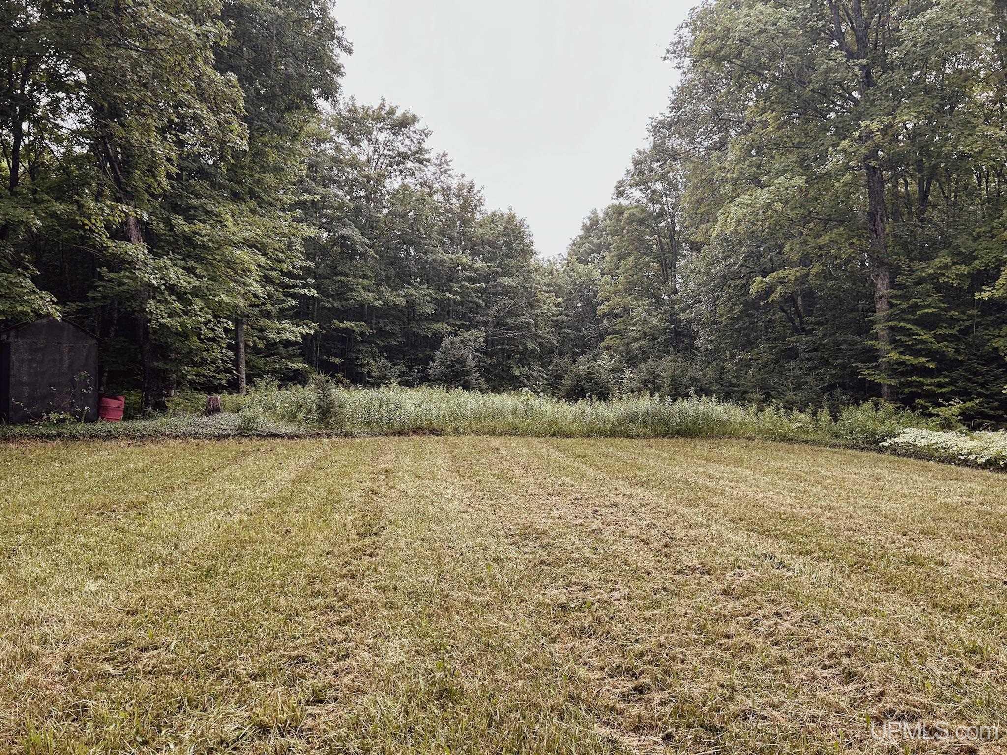 36th image of E12329 H58 Hwy, Munising, MI 49884 | MLS# 50216984