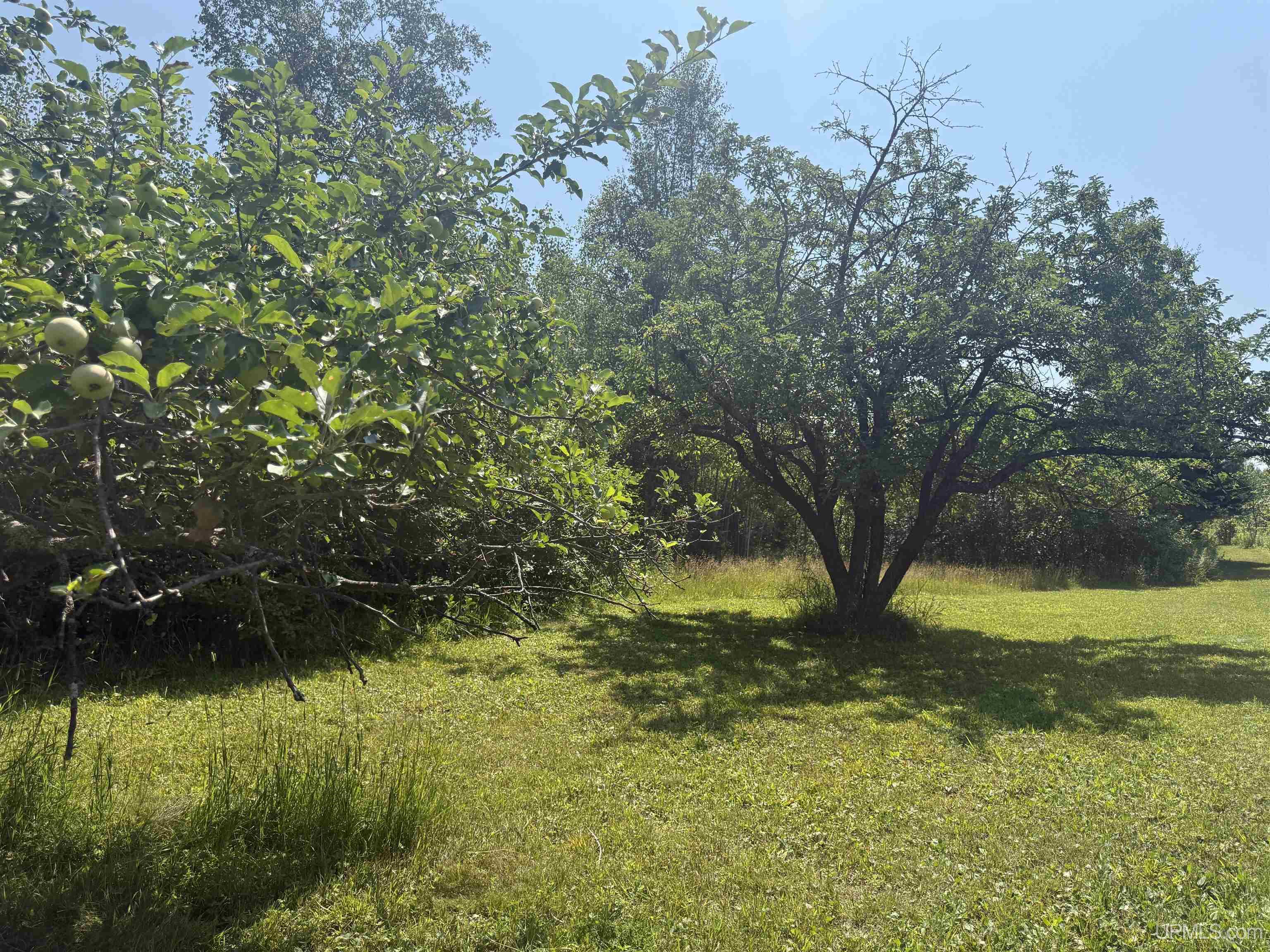 5th image of 6+ Acres Pakkala Rd, Crystal Falls, MI 49920 | MLS# 50217047