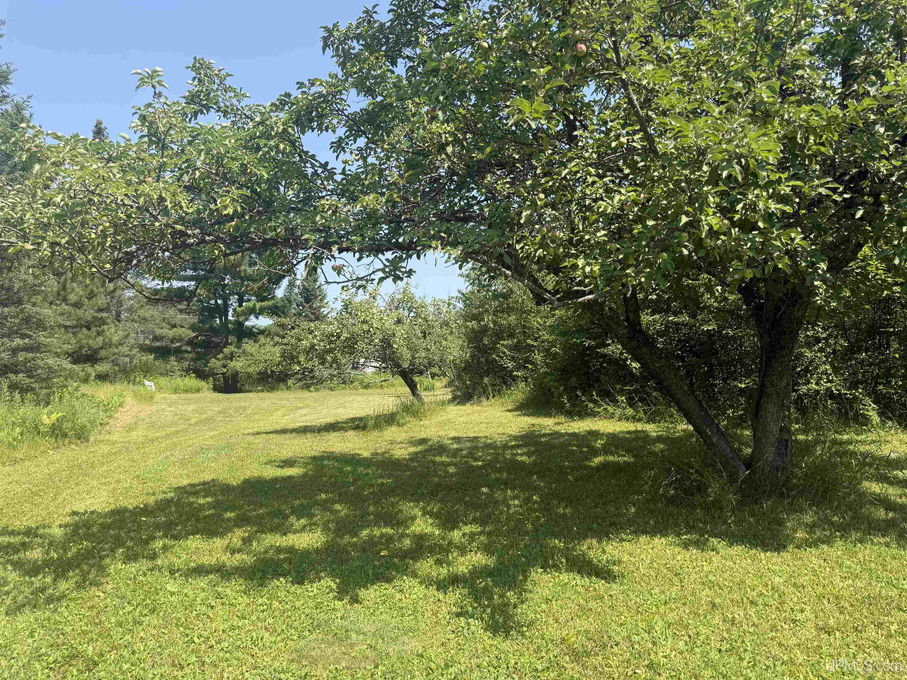 6th image of 6+ Acres Pakkala Rd, Crystal Falls, MI 49920 | MLS# 50217047