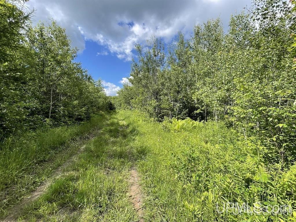 3rd image of 243 Net River Rd, Crystal Falls, MI 49920 | MLS# 50217182