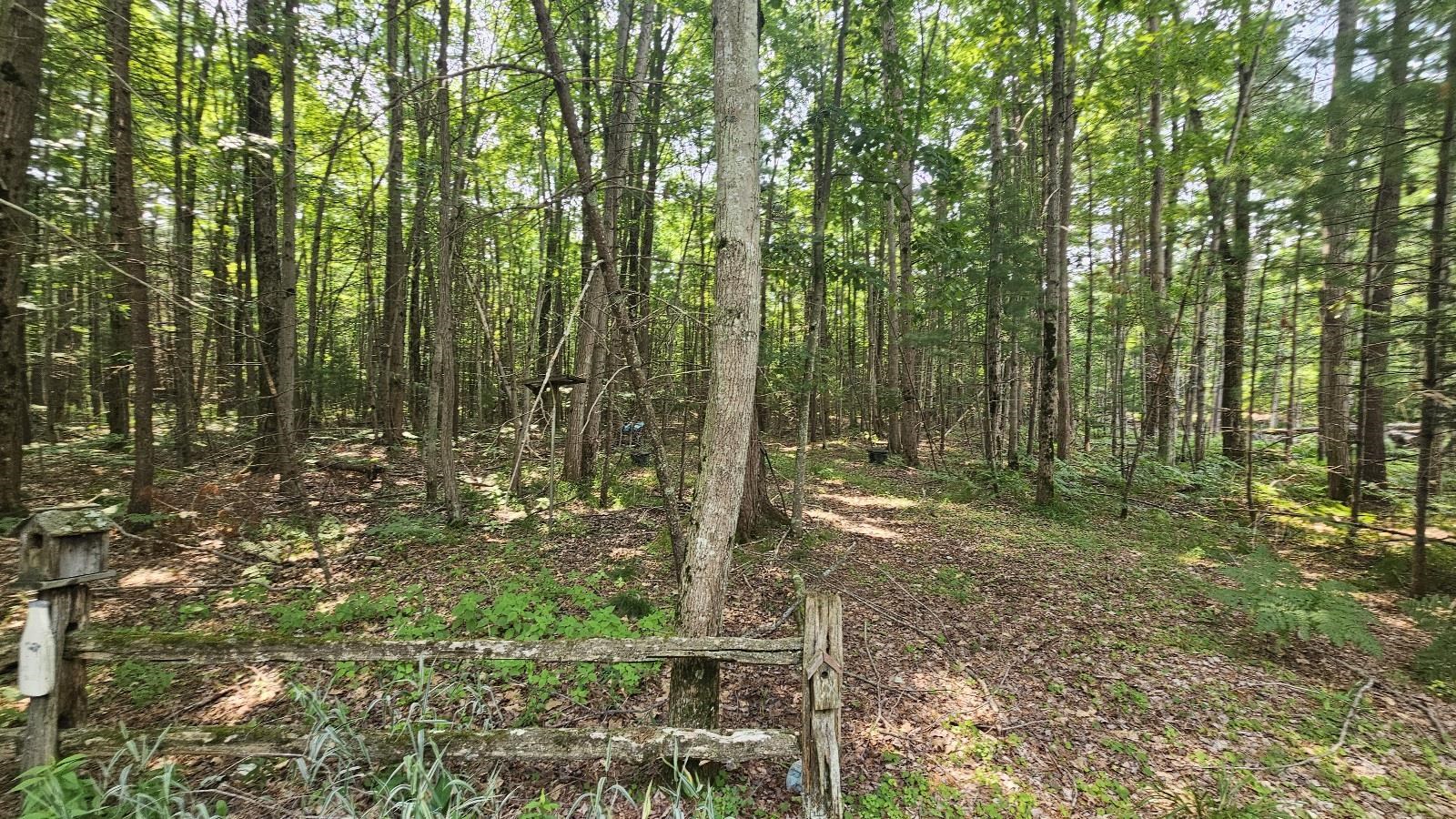 1st image of Lot # 12 West River Dr, Gladwin, MI 48624 | MLS# 50217206