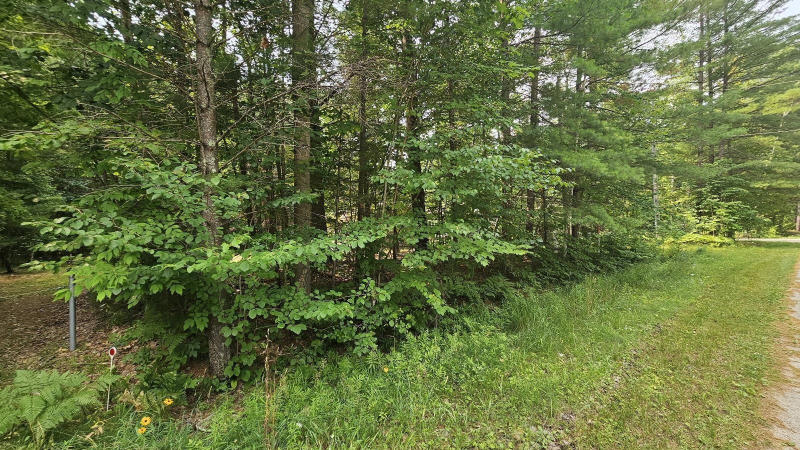 5th image of Lot # 12 West River Dr, Gladwin, MI 48624 | MLS# 50217206