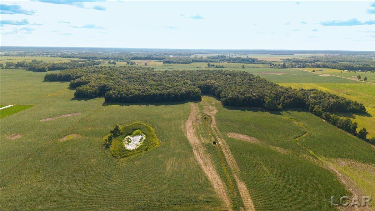 2nd image of V/l S Pittsford Rd, Pittsford, MI 49271 | MLS# 50217372