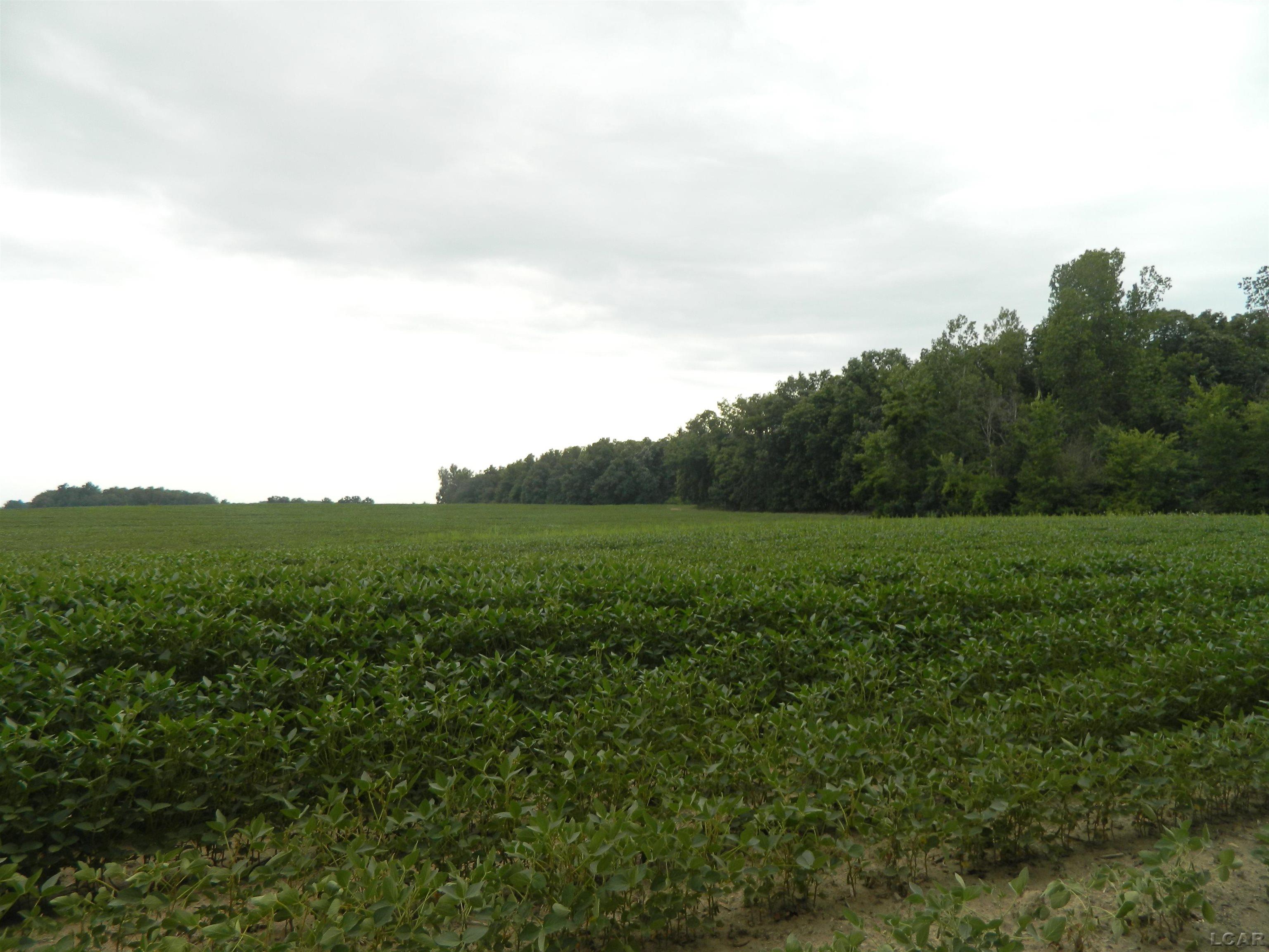 47th image of V/l S Pittsford Rd, Pittsford, MI 49271 | MLS# 50217372