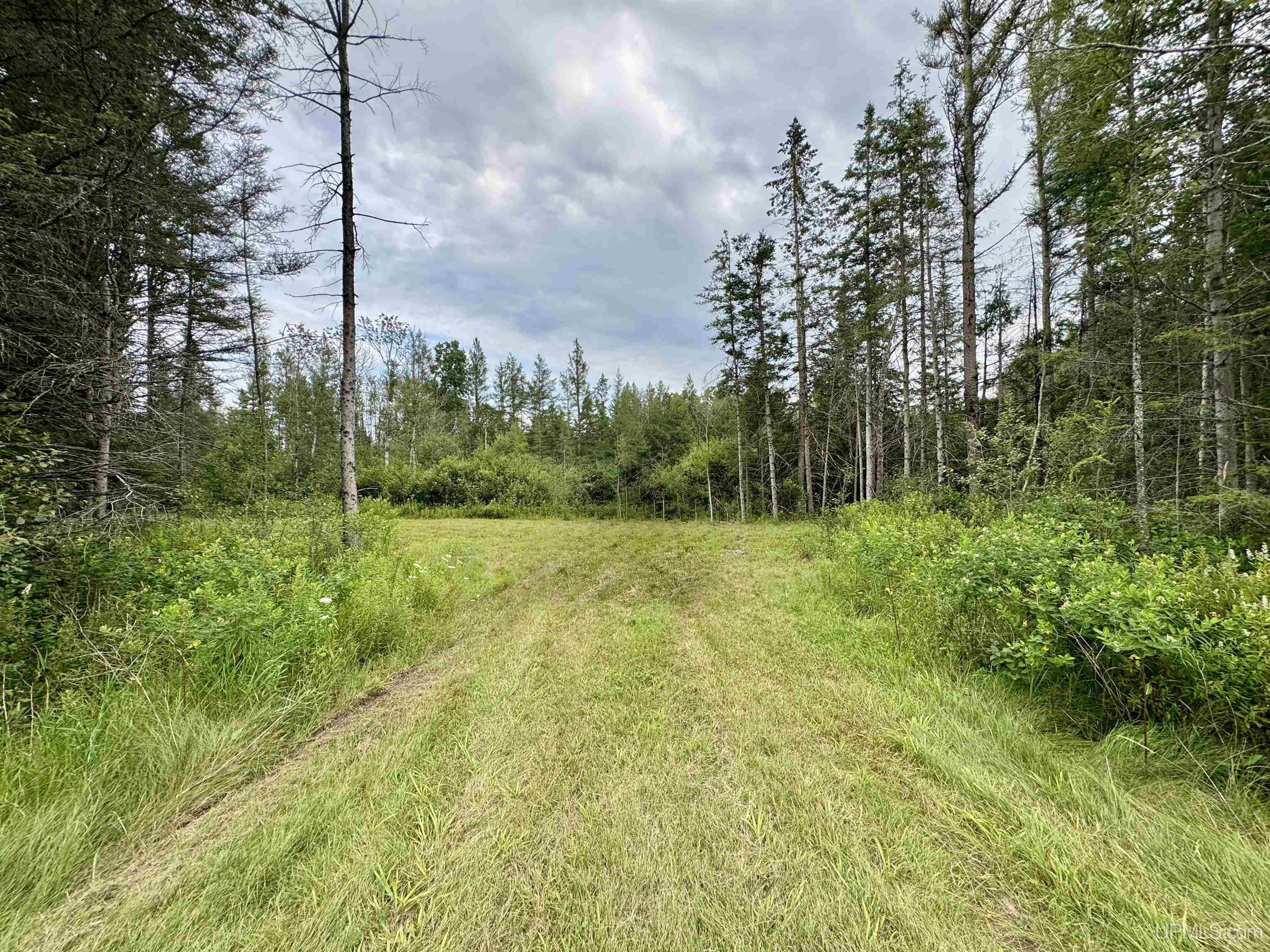 36th image of 1509 8th Rd, Bark River, MI 49807 | MLS# 50217460