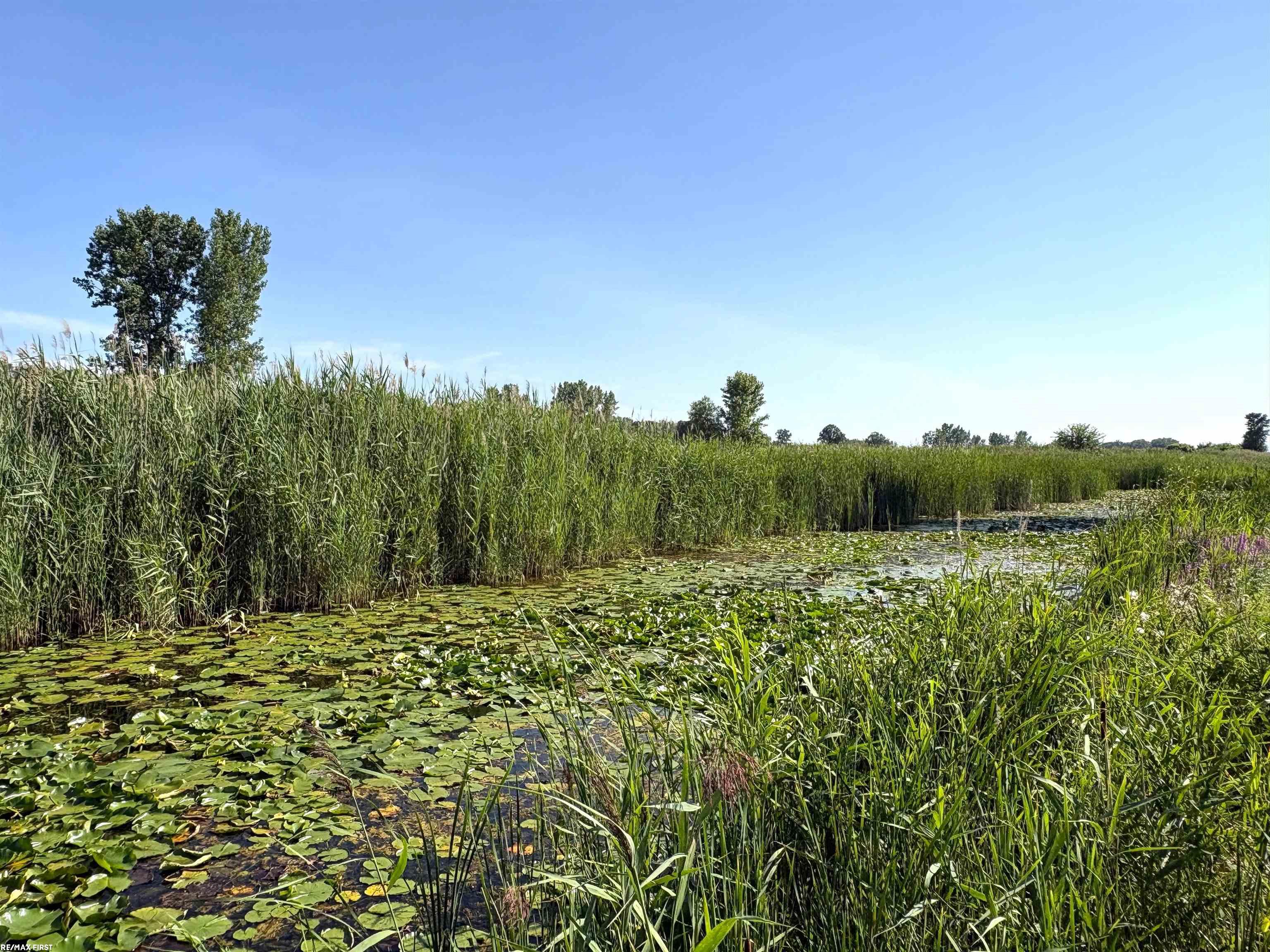 4th image of 2483 Roy Dr, Harsens Island, MI 48028 | MLS# 50217520