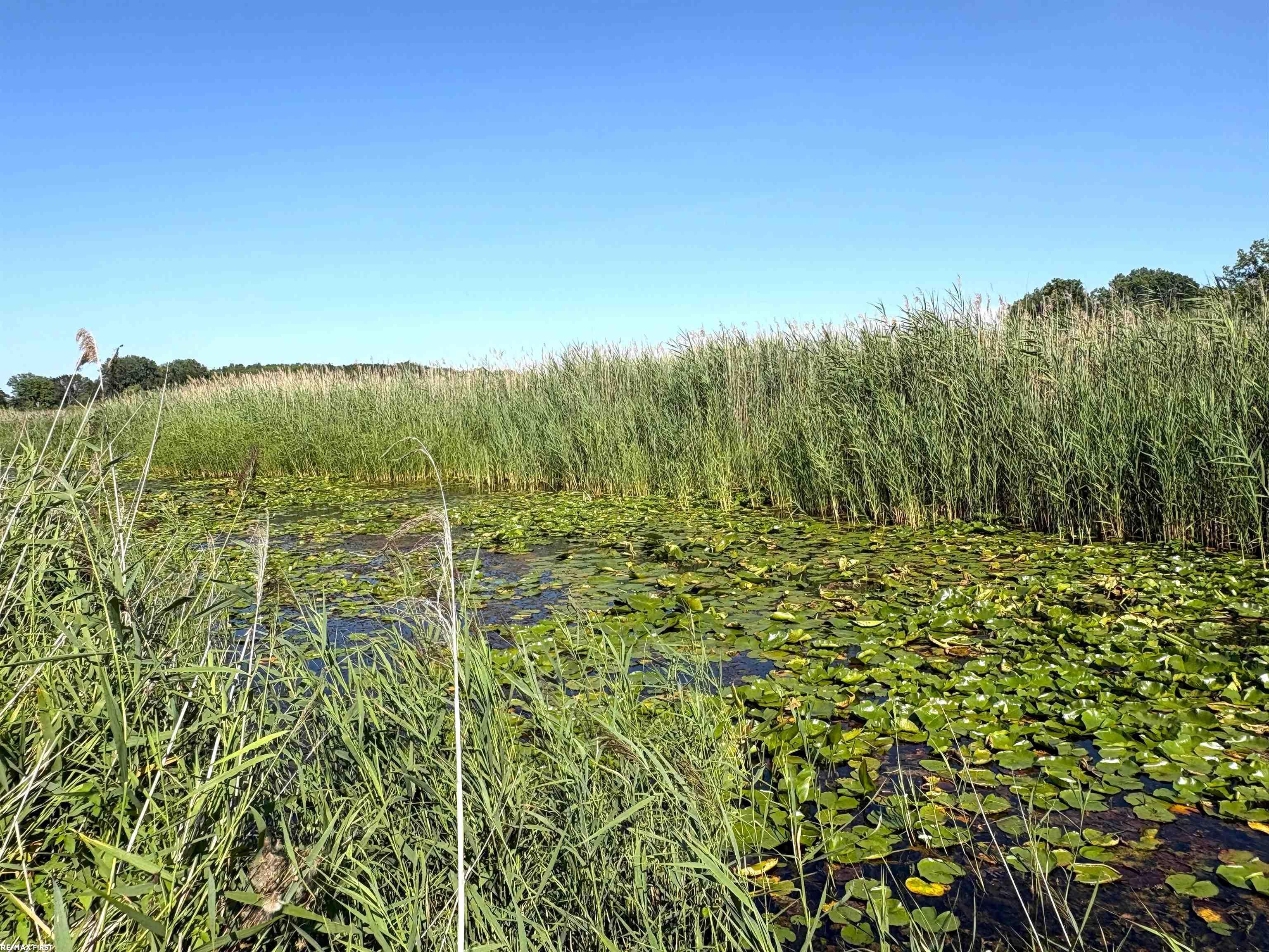 5th image of 2483 Roy Dr, Harsens Island, MI 48028 | MLS# 50217520