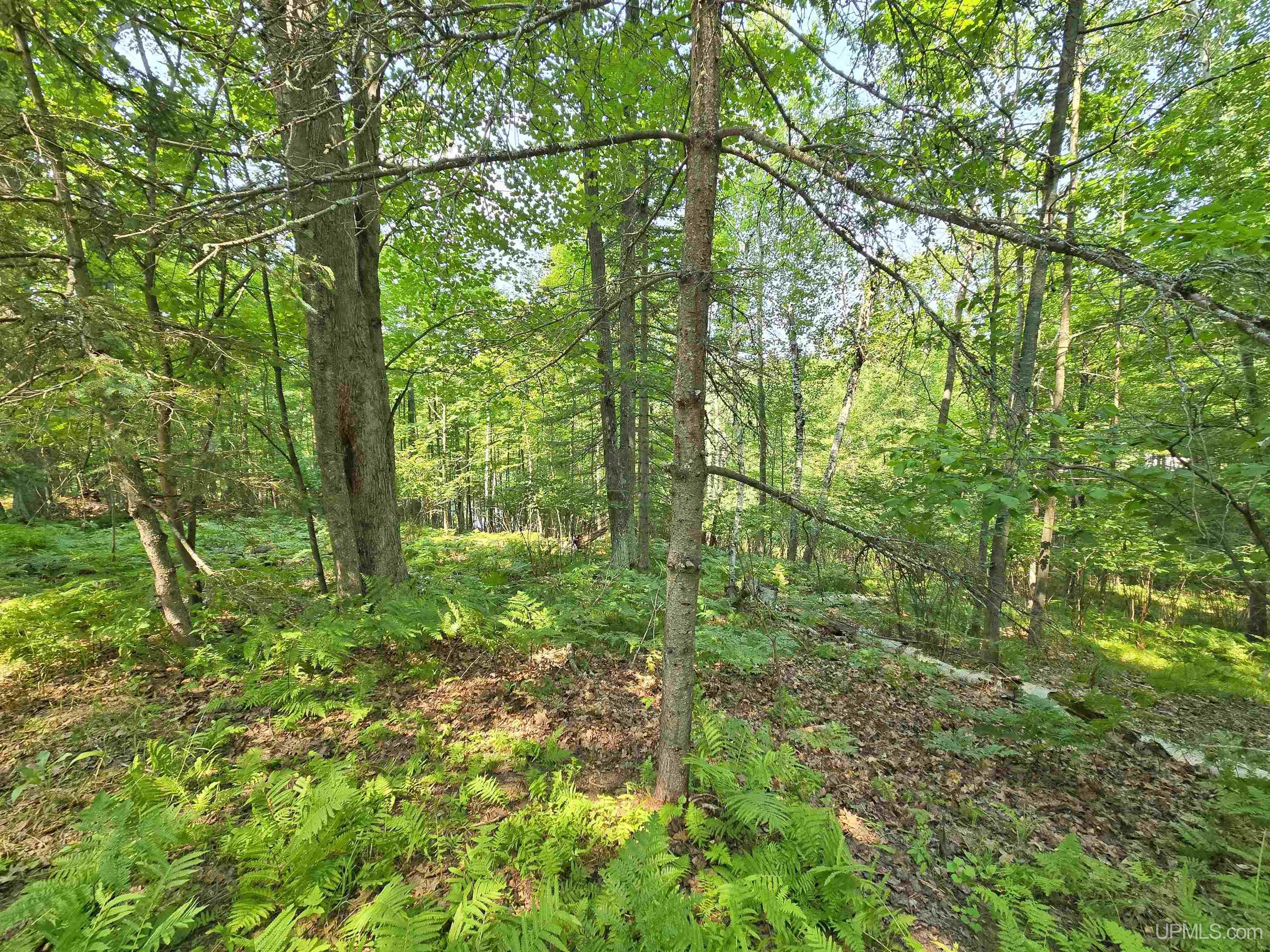N4073 Pine Mountain Drive