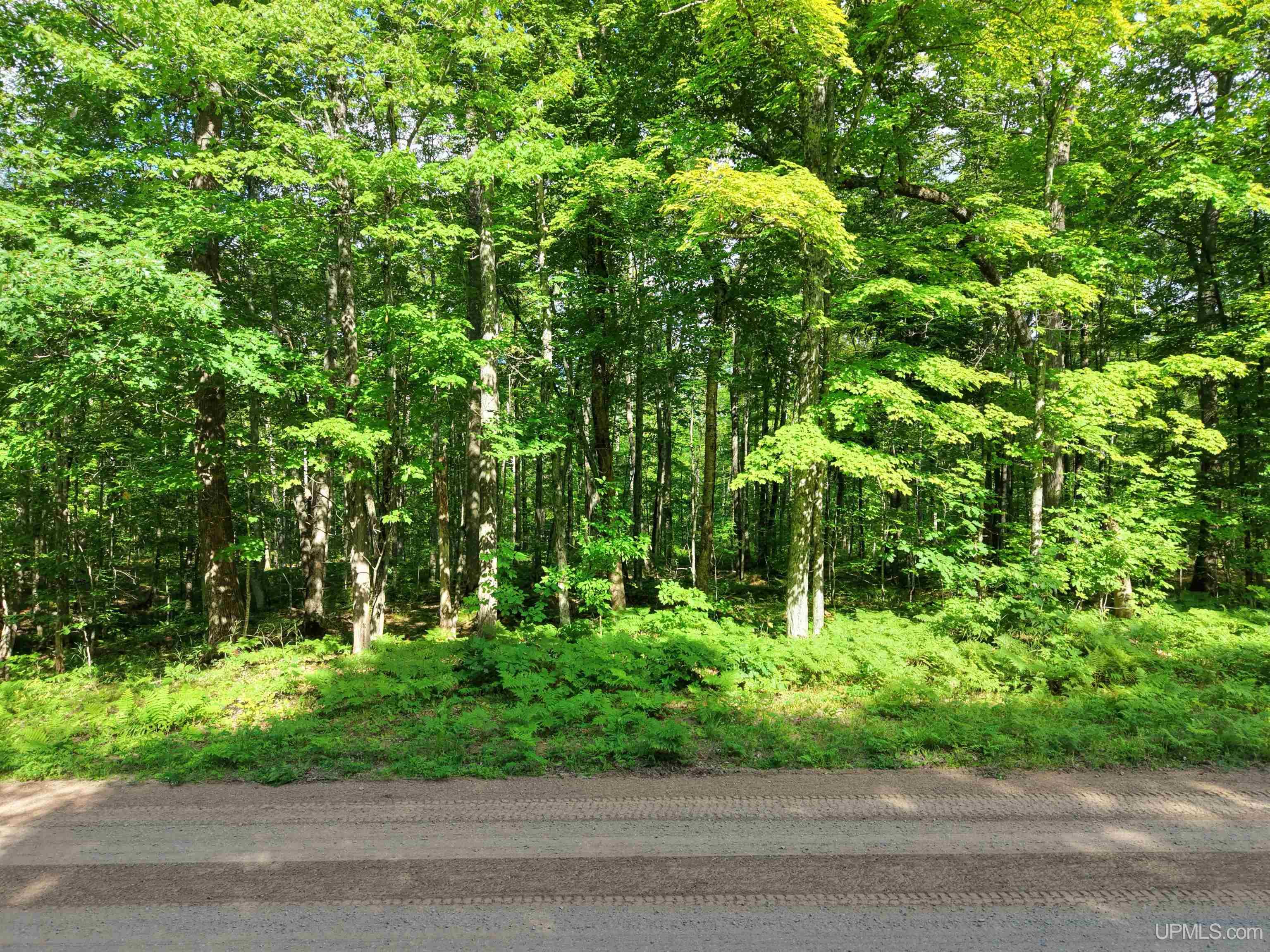 3rd image of Tbd S Laird Rd, Pelkie, MI 49958 | MLS# 50217709