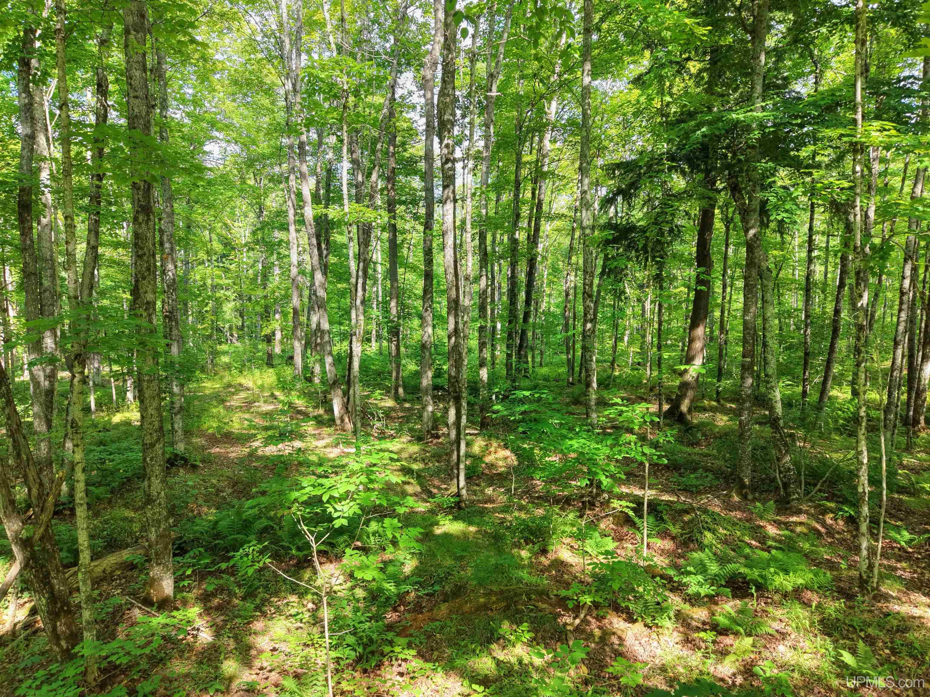 4th image of Tbd S Laird Rd, Pelkie, MI 49958 | MLS# 50217709