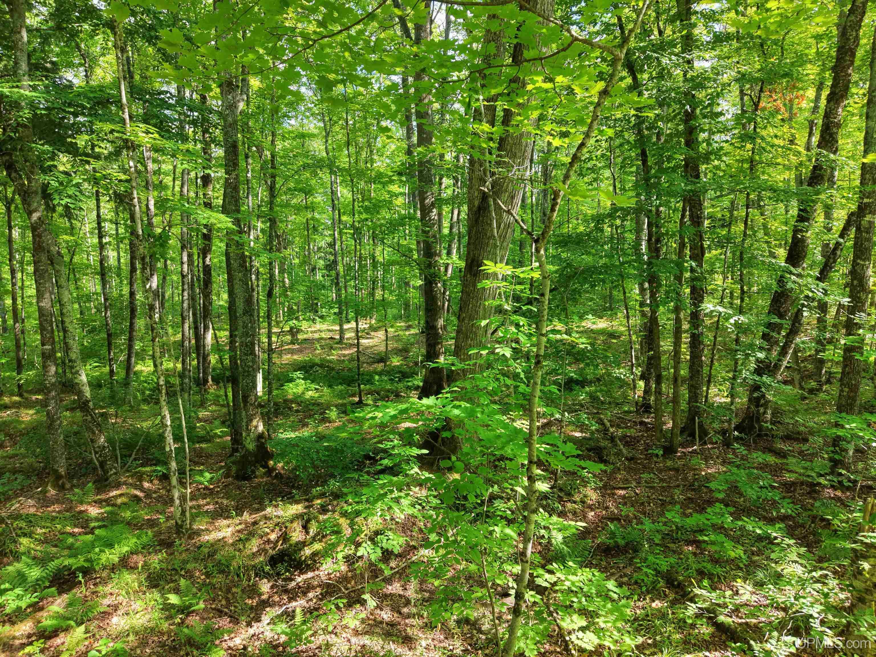 5th image of Tbd S Laird Rd, Pelkie, MI 49958 | MLS# 50217709