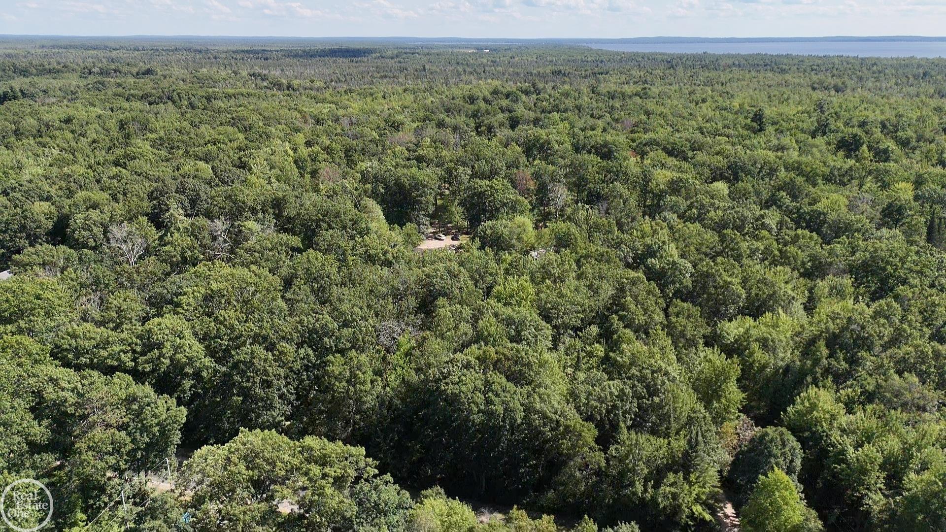 1st image of 00 Lansing Rd, Roscommon, MI 48653 | MLS# 50217783