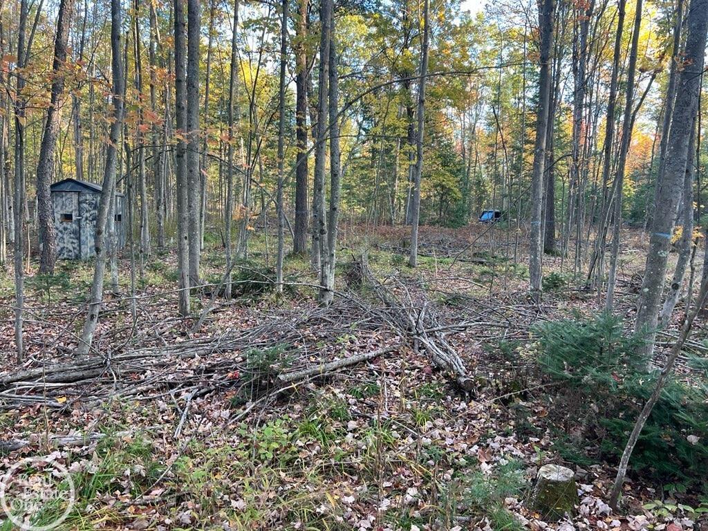 5th image of 00 Lansing Rd, Roscommon, MI 48653 | MLS# 50217783