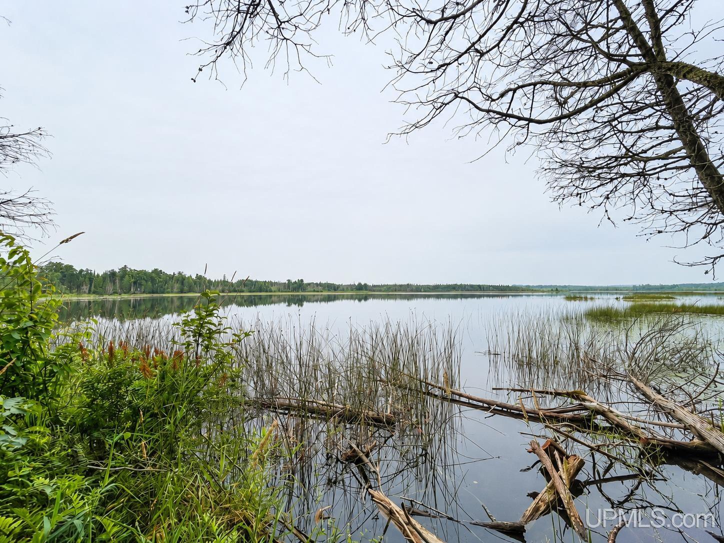 1st image of Tbd Gardapee Rd, Manistique, MI 49854 | MLS# 50217796