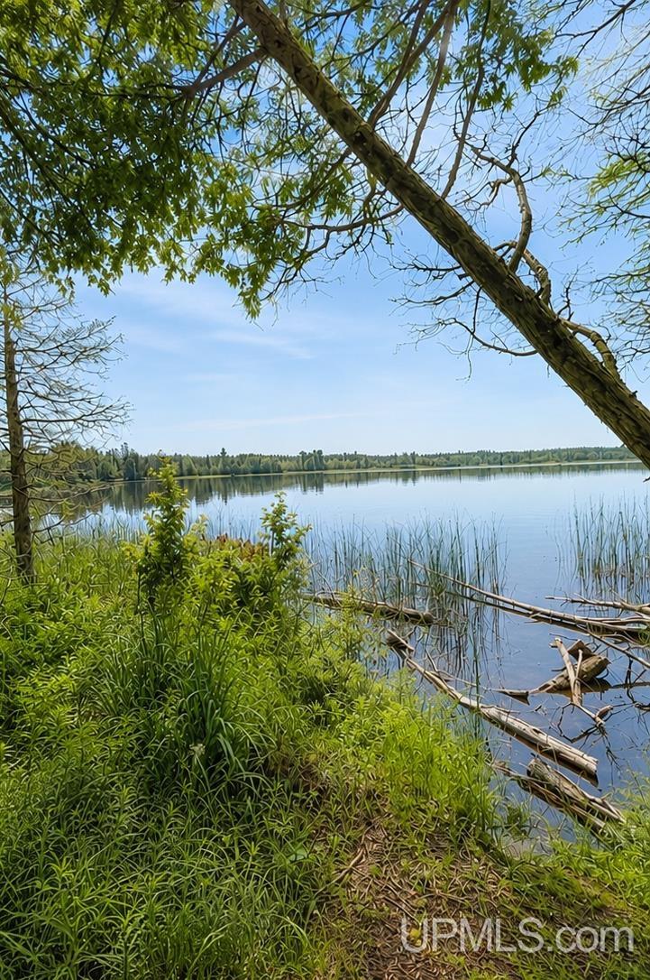2nd image of Tbd Gardapee Rd, Manistique, MI 49854 | MLS# 50217796