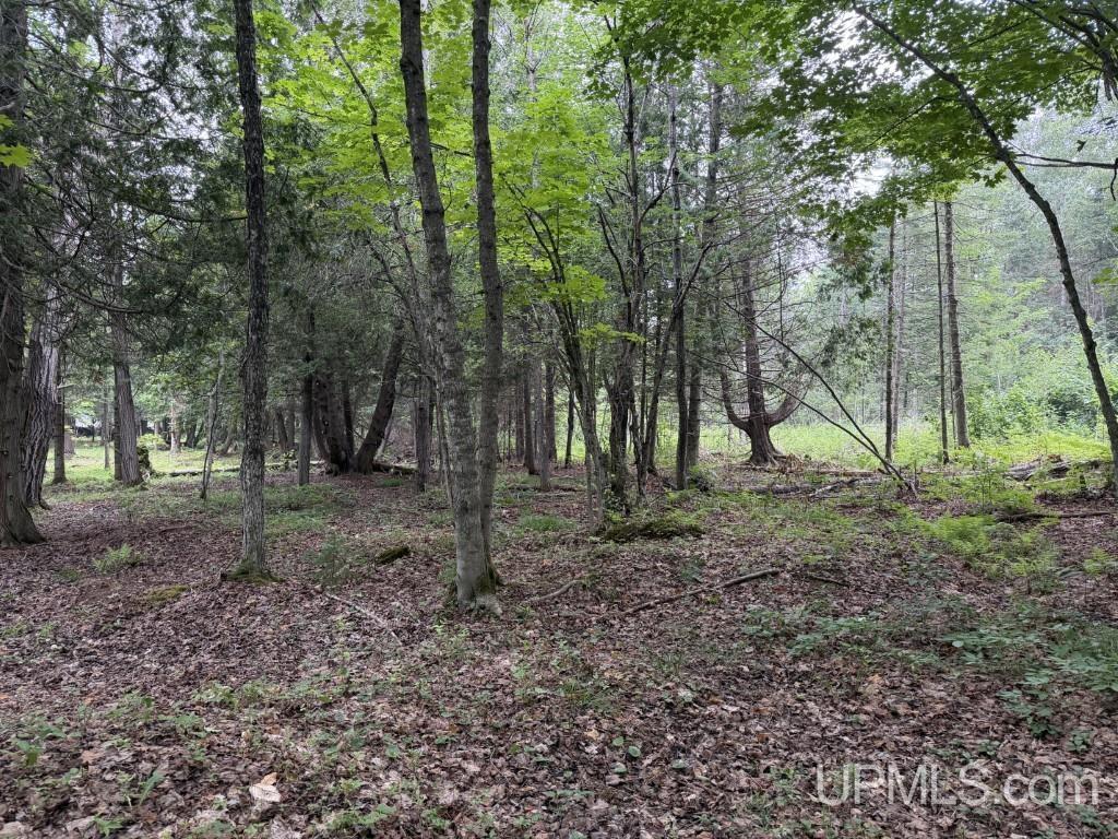 7th image of Tbd Gardapee Rd, Manistique, MI 49854 | MLS# 50217796