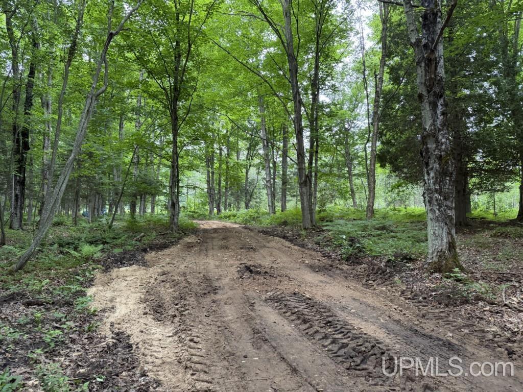 4th image of Tbd Gardapee Rd, Manistique, MI 49854 | MLS# 50217796