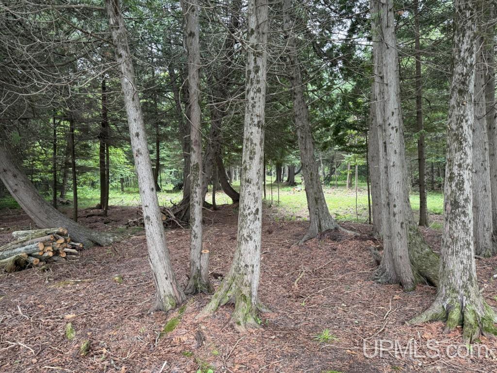 5th image of Tbd Gardapee Rd, Manistique, MI 49854 | MLS# 50217796