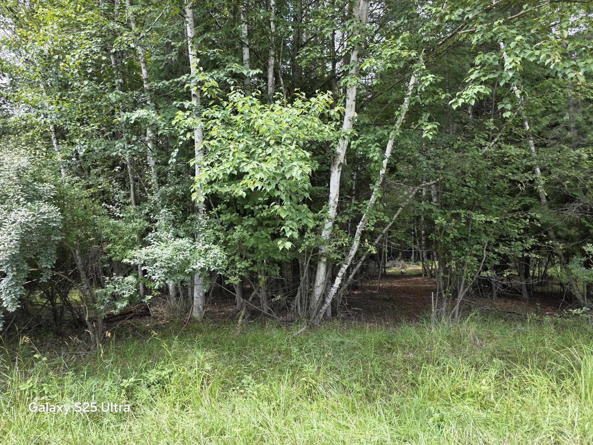 1st image of Lot 41 Sandbridge Ct, Gladwin, MI 48624 | MLS# 50217813