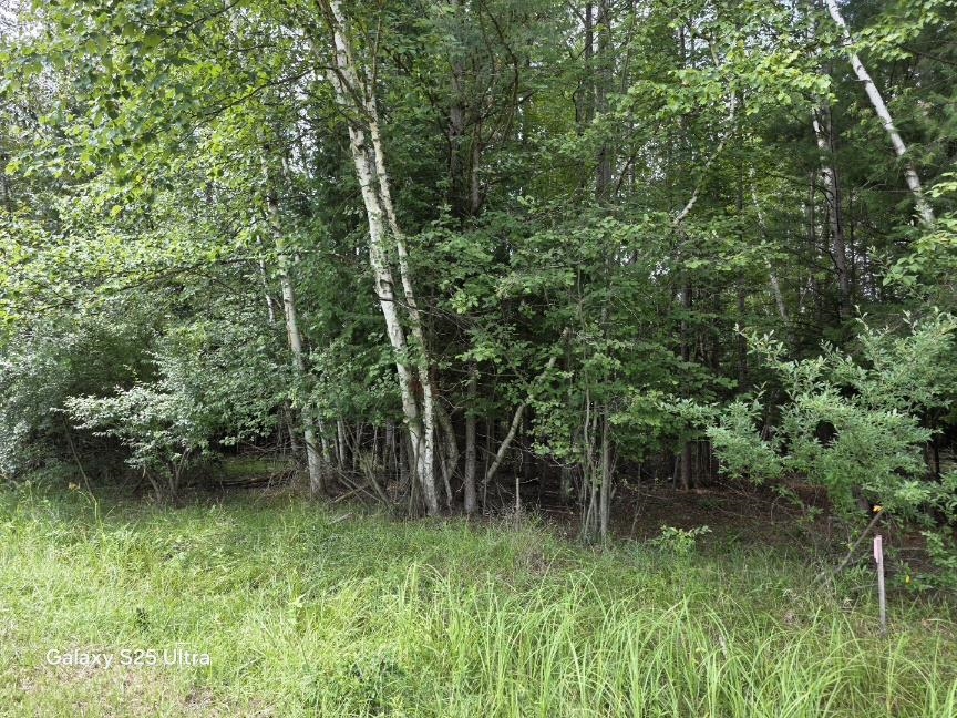 2nd image of Lot 41 Sandbridge Ct, Gladwin, MI 48624 | MLS# 50217813