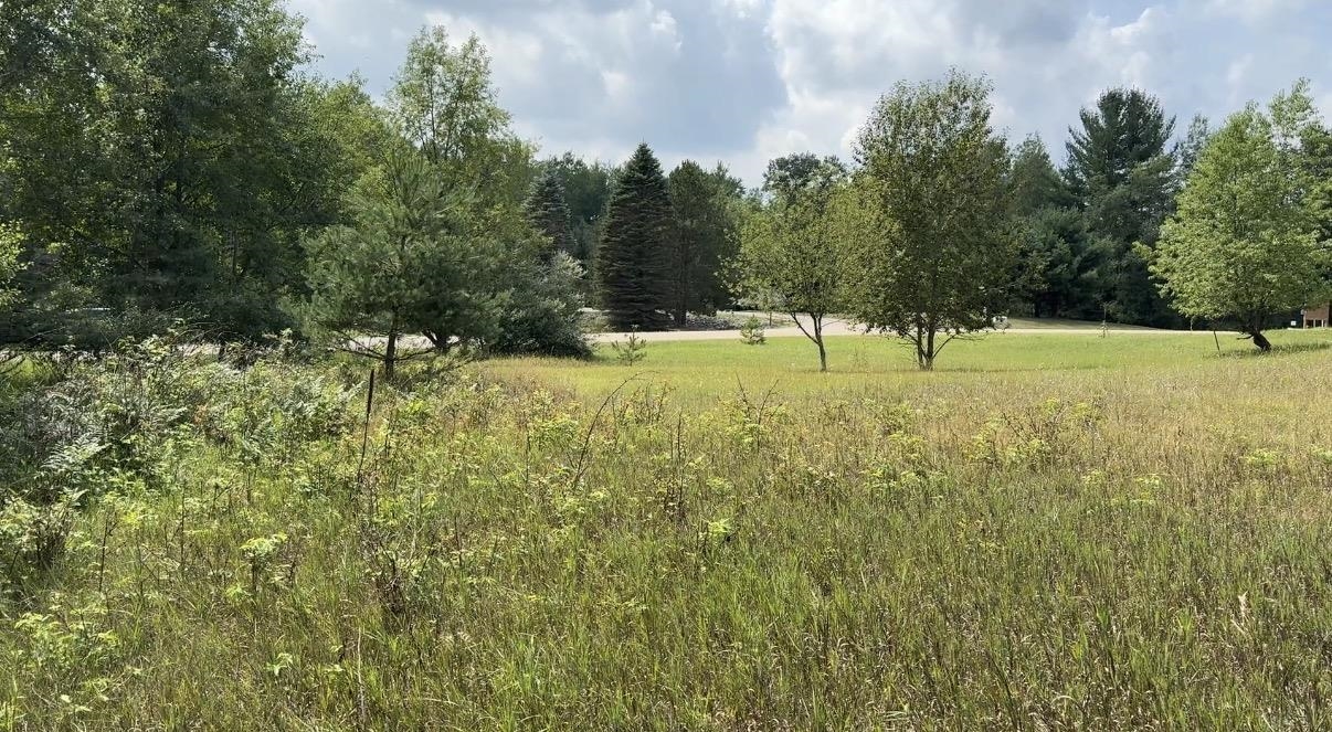4th image of Lot 101 Westchester Dr, Gladwin, MI 48624 | MLS# 50217821