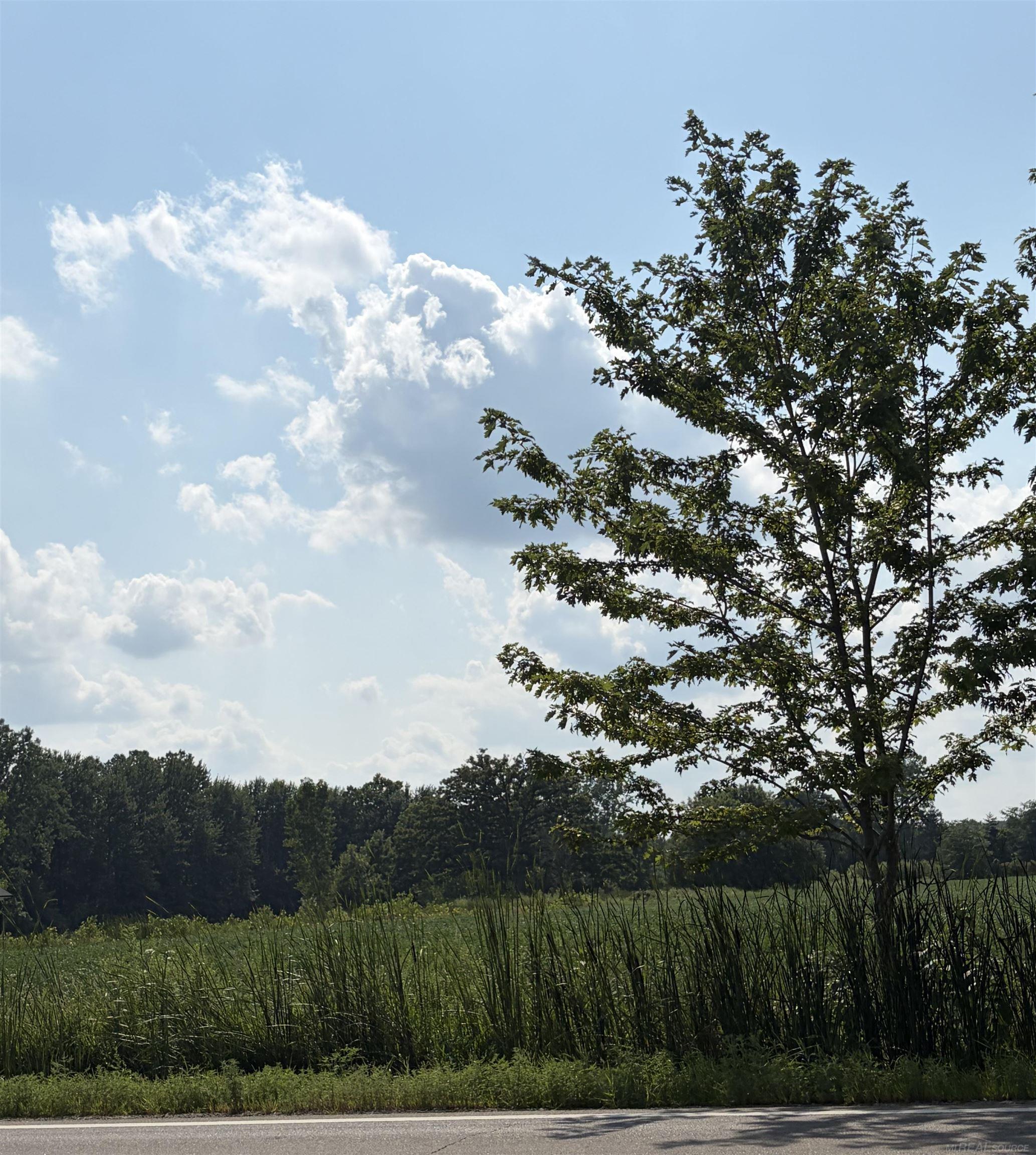 Photo 3 of Land for sale at 0 Capac Rd, Armada, MI 48005 | MLS# 58050217902 | Listing updated on 2026-09-24