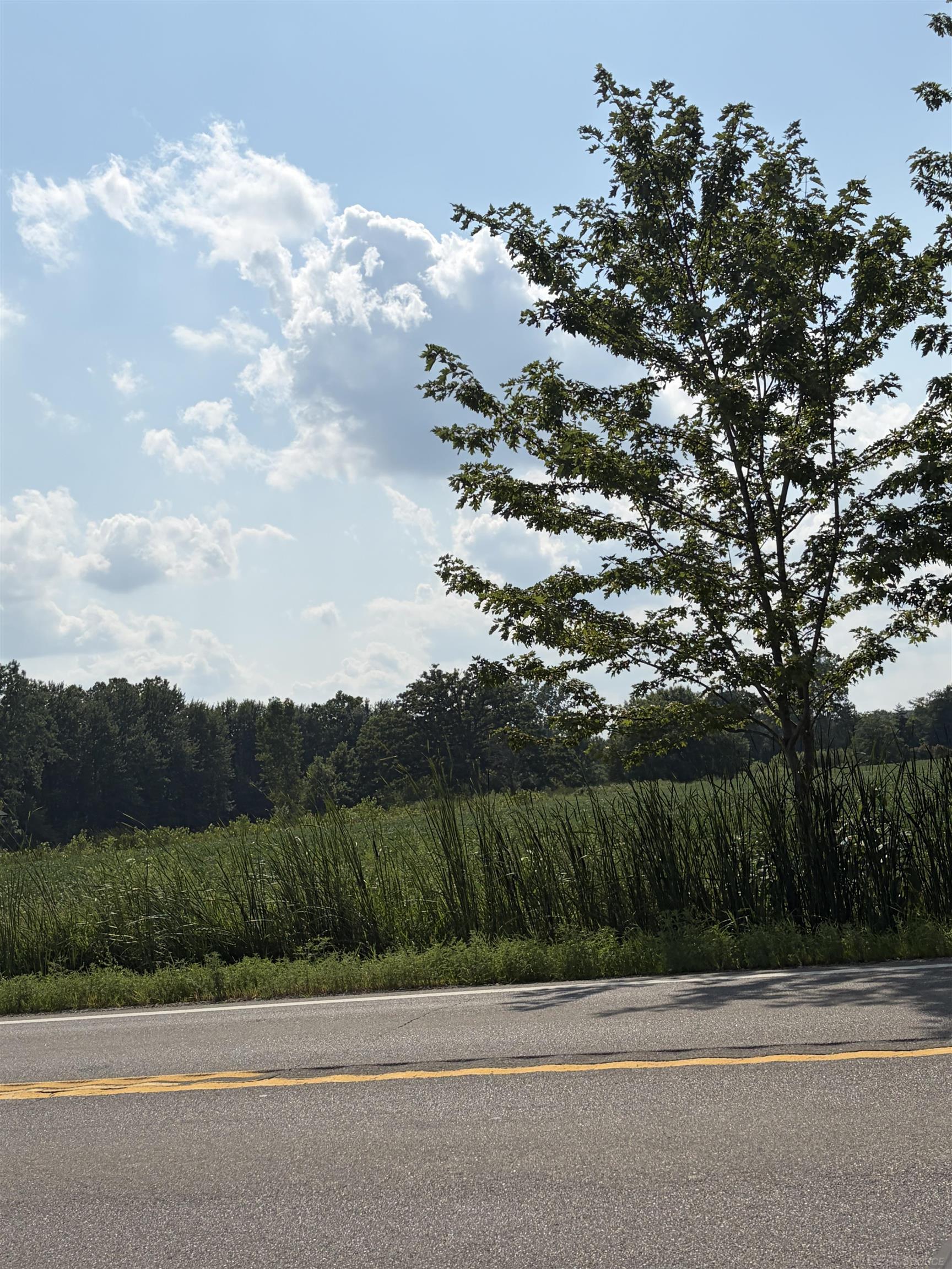 Photo 3 of Land for sale at 0 Capac Rd, Armada, MI 48005 | MLS# 58050217902 | Listing updated on 2026-09-24
